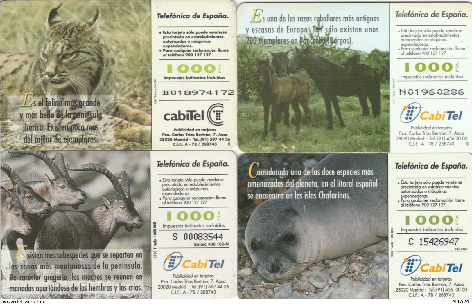 PHONE CARD 4 SPAGNA FAUNA (CK979 - Commemorative Advertisment