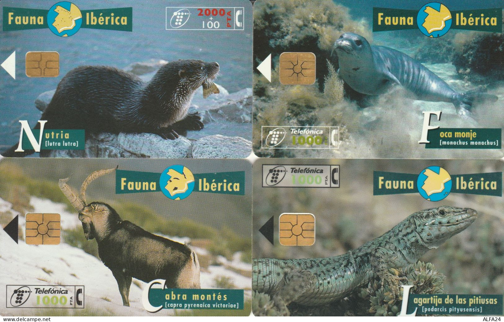 PHONE CARD 4 SPAGNA FAUNA (CK982 - Commemorative Advertisment