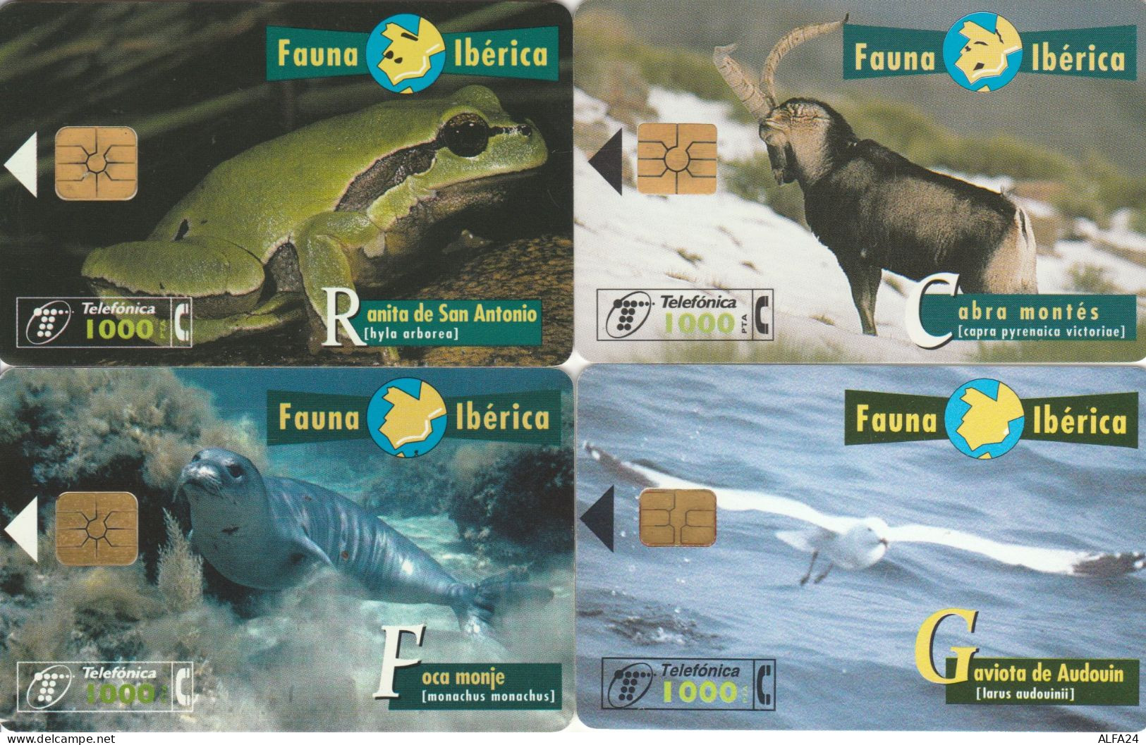 PHONE CARD 4 SPAGNA FAUNA (CK985 - Commemorative Advertisment