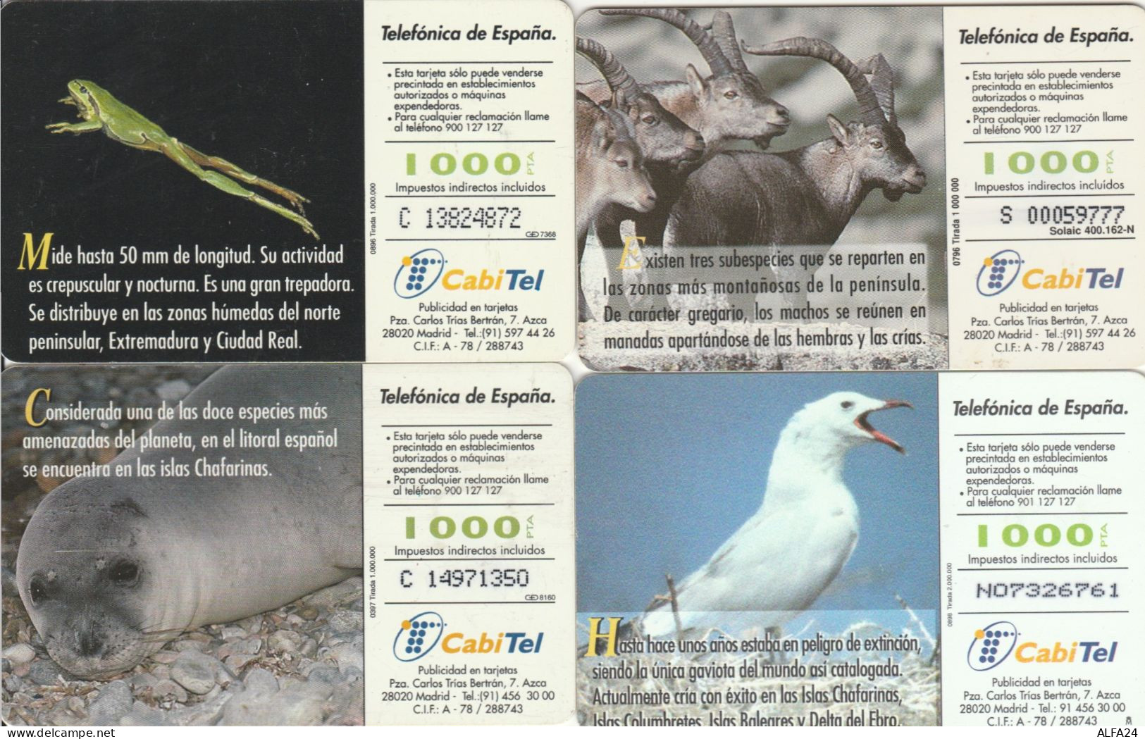 PHONE CARD 4 SPAGNA FAUNA (CK985 - Commemorative Advertisment