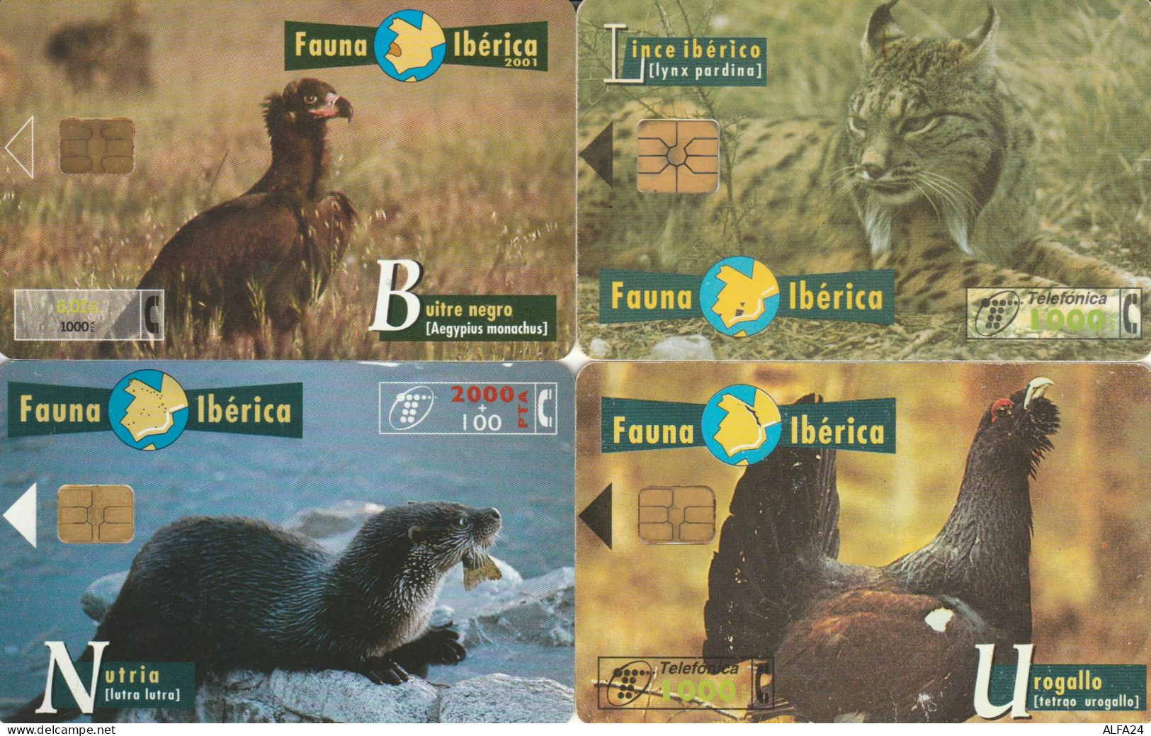 PHONE CARD 4 SPAGNA FAUNA (CK978 - Commemorative Advertisment