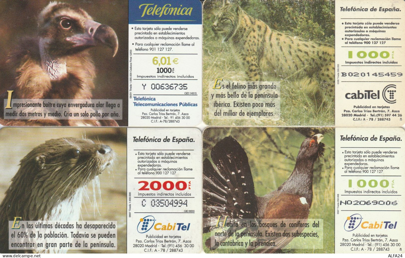 PHONE CARD 4 SPAGNA FAUNA (CK978 - Commemorative Advertisment