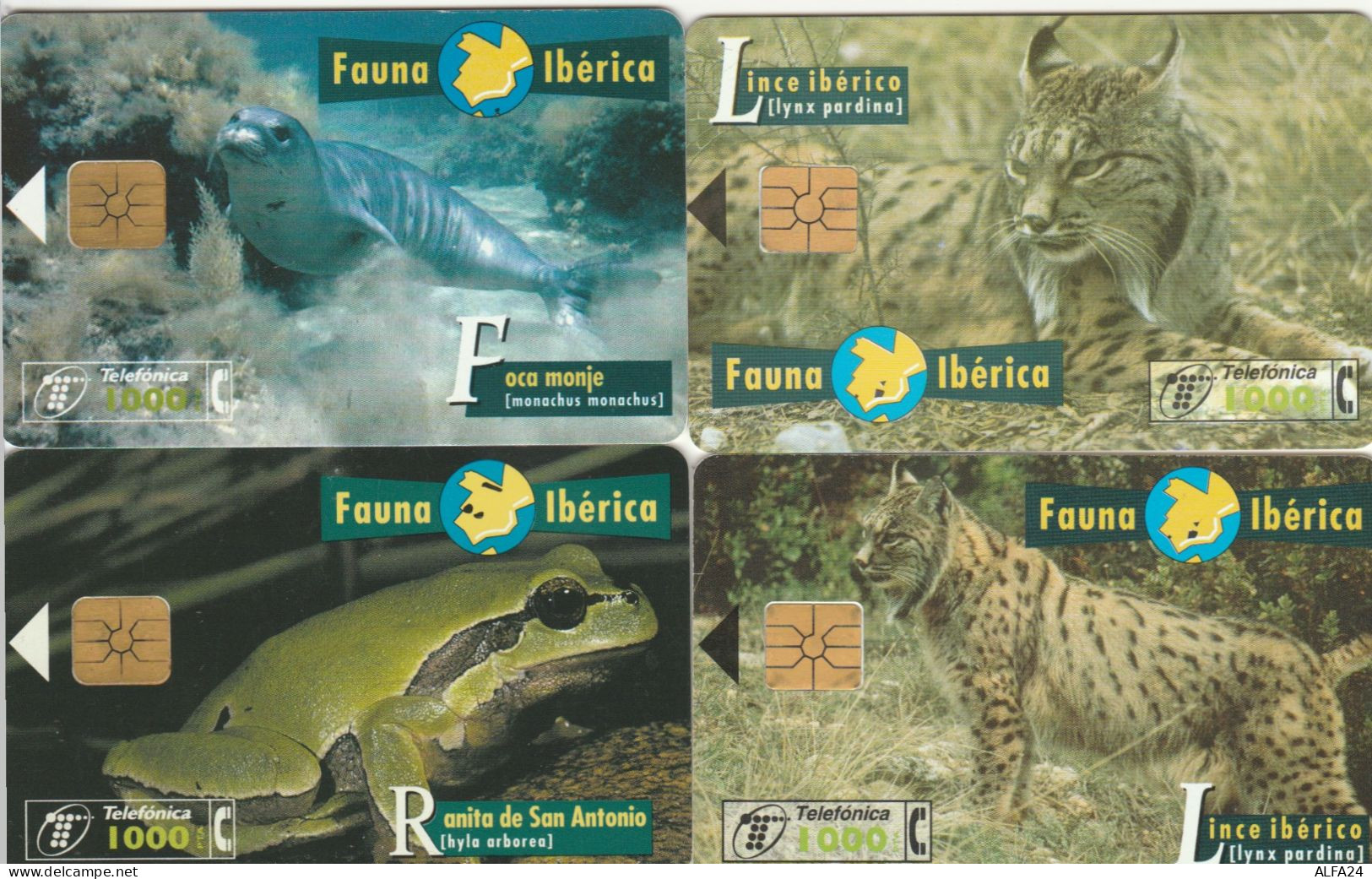 PHONE CARD 4 SPAGNA FAUNA (CK975 - Commemorative Advertisment