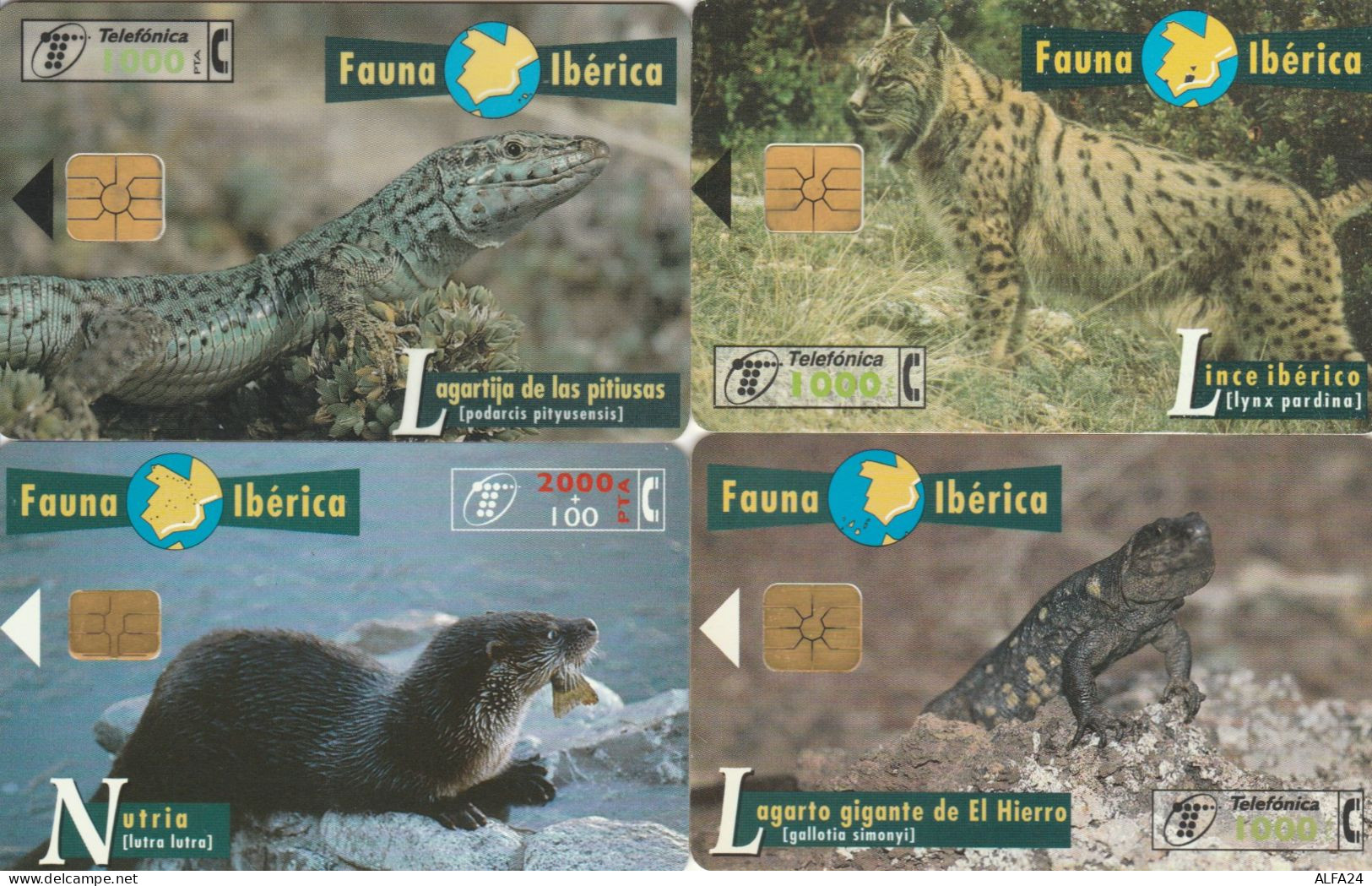 PHONE CARD 4 SPAGNA FAUNA (CK977 - Commemorative Advertisment