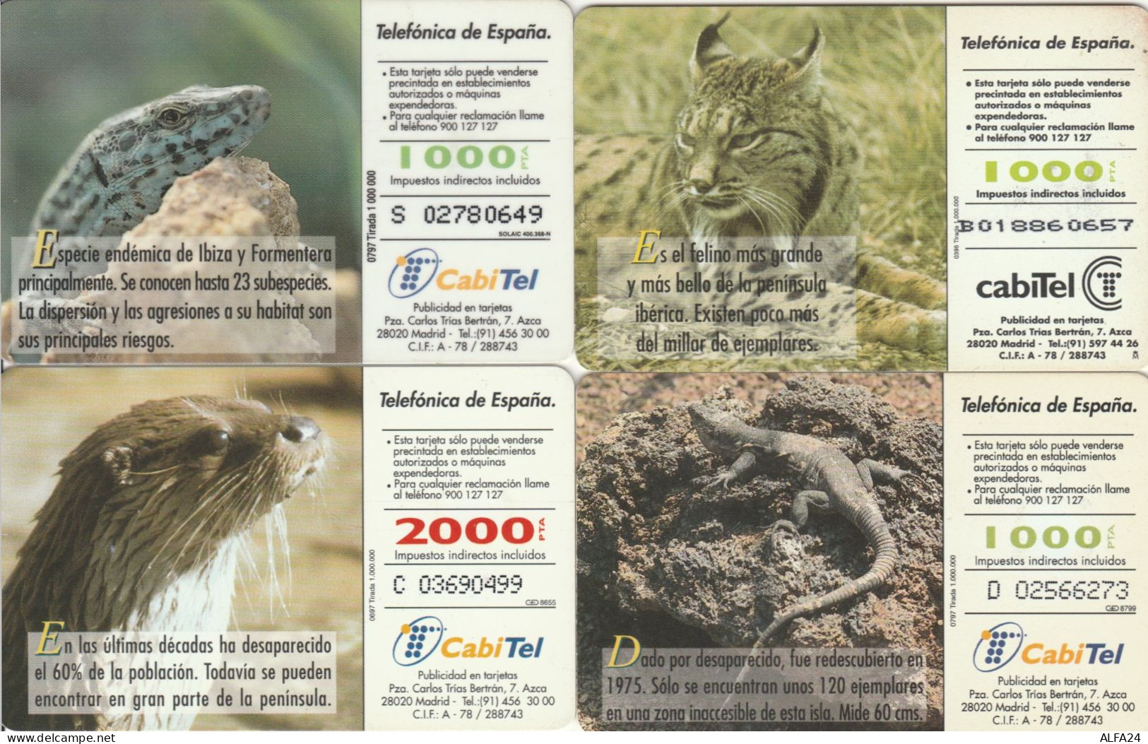 PHONE CARD 4 SPAGNA FAUNA (CK977 - Conmemorativas Y Publicitarias