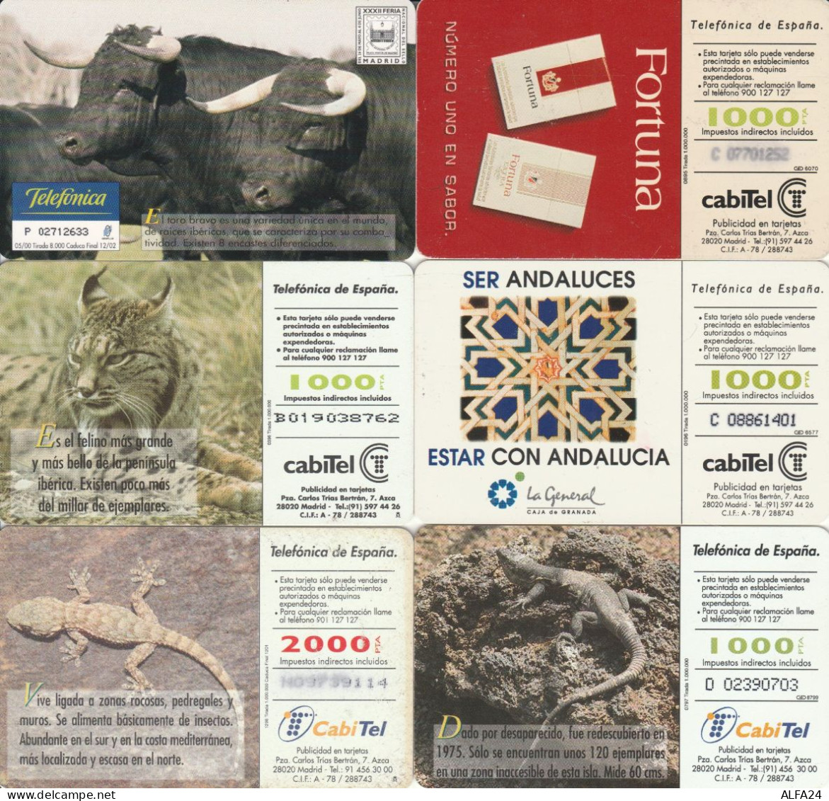 PHONE CARD SPAGNA (CK828 - Commemorative Advertisment