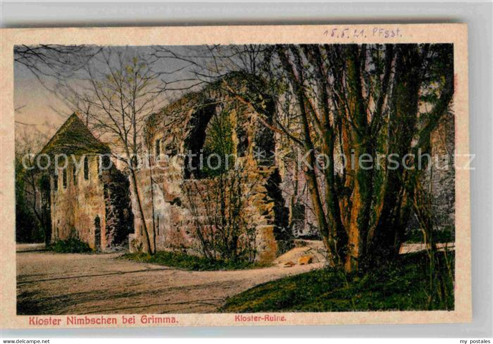 42680513 Nimbschen Kloster Ruine Grimma - Grimma