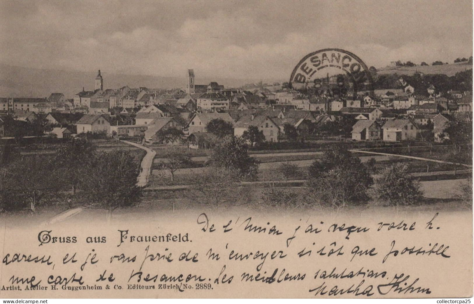 Gruss Aus Frauenfeld ( Vue Générale Panorama ) Editeur H. Guggenheim & Co - Frauenfeld