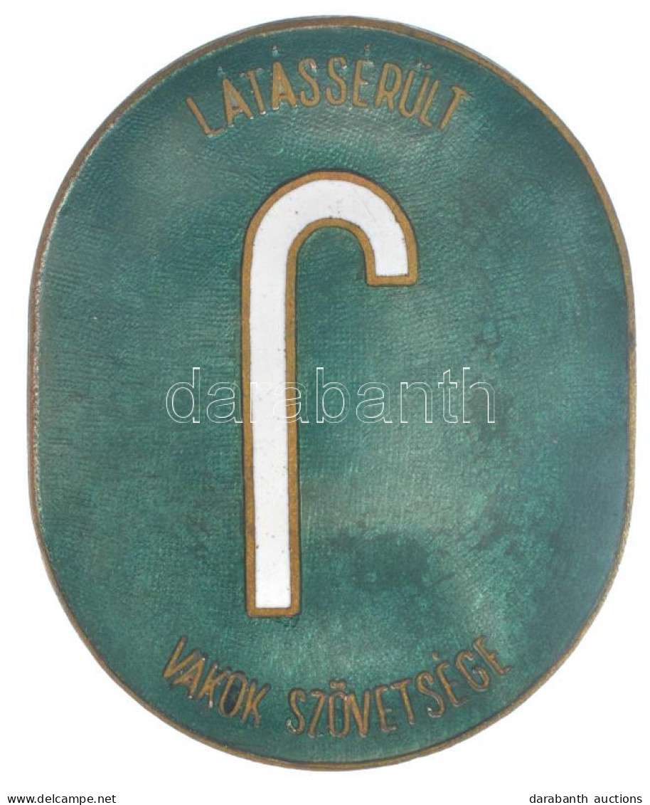 ~1930. "Látássérült - Vakok Szövetsége" Zománcozott Bronz Jelvény (41x50mm) T:AU Apró Zománchiba / Hungary ~1930. "Visua - Unclassified