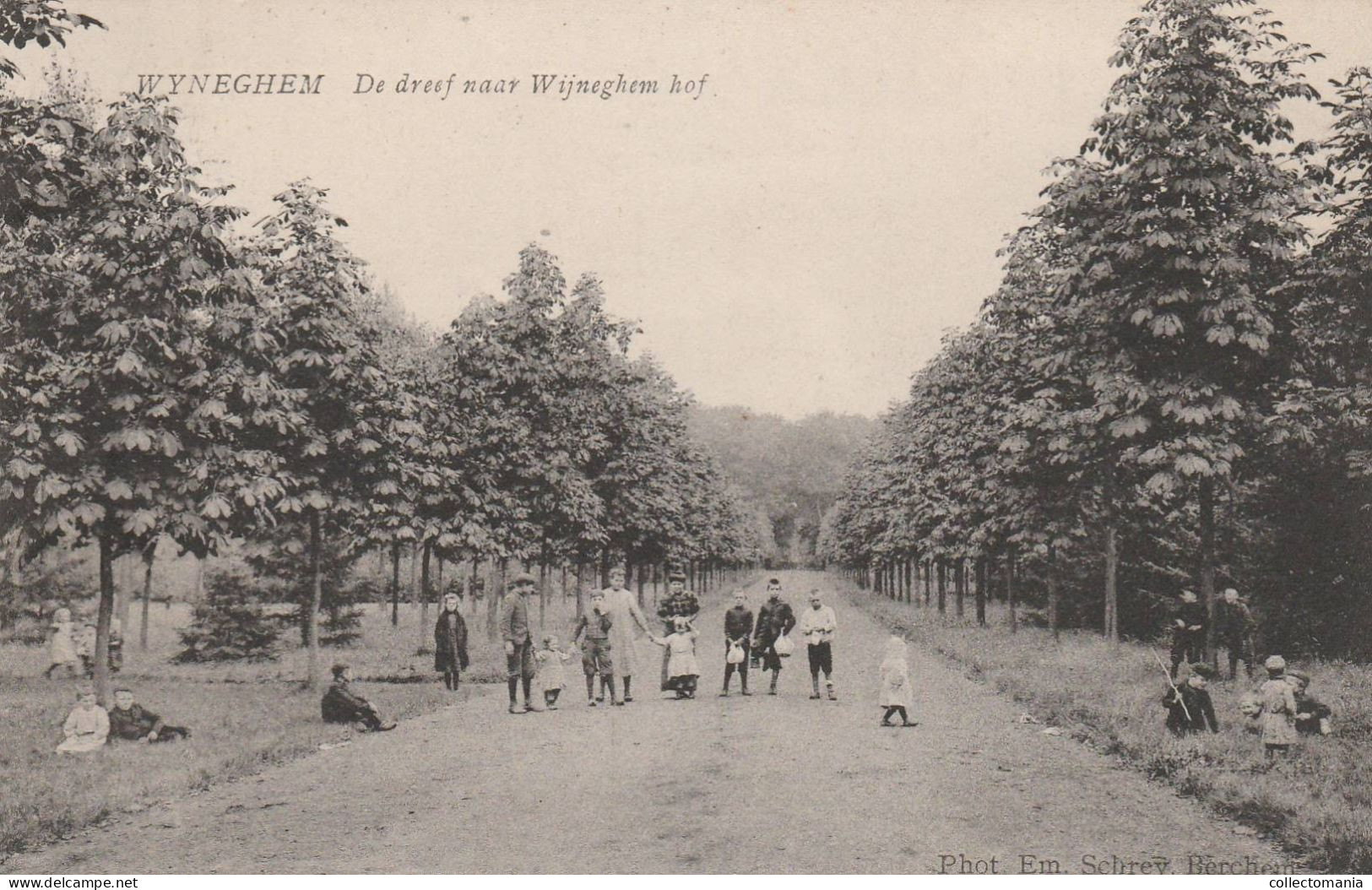 2 Oude Postkaarten   Wijngehem Wijnegem Wijnegemhof  Dreef Naar Wijneghem Hof 1909 - Wijnegem