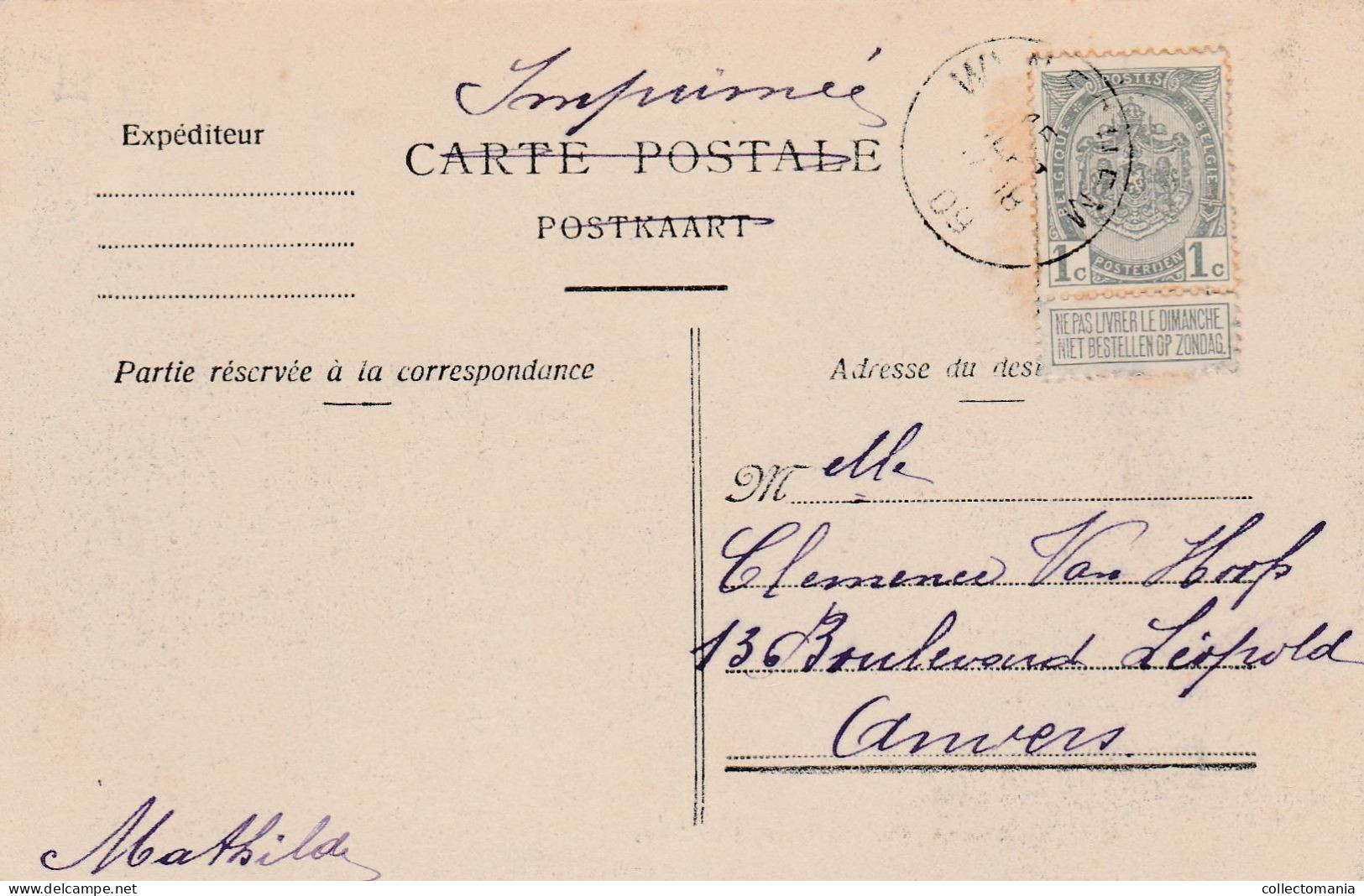 2 Oude Postkaarten   Wijngehem Wijnegem Wijnegemhof  Dreef Naar Wijneghem Hof 1909 - Wijnegem