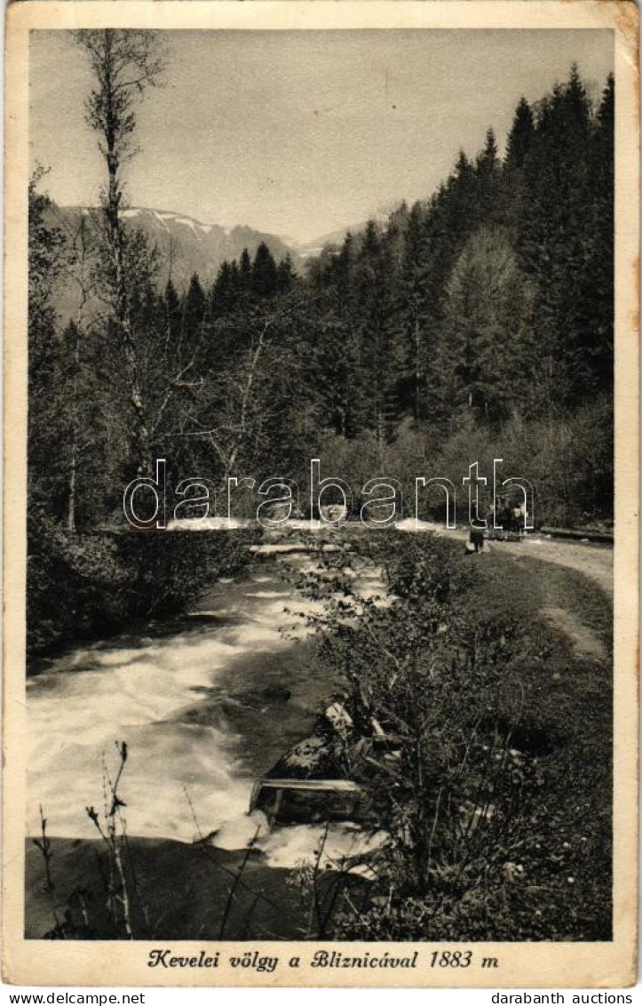 * T3 1941 Kevelei-völgy, Bliznica. Marton Jenő Felvétele / River Vally, Hora Blyznytsya (EB) - Zonder Classificatie