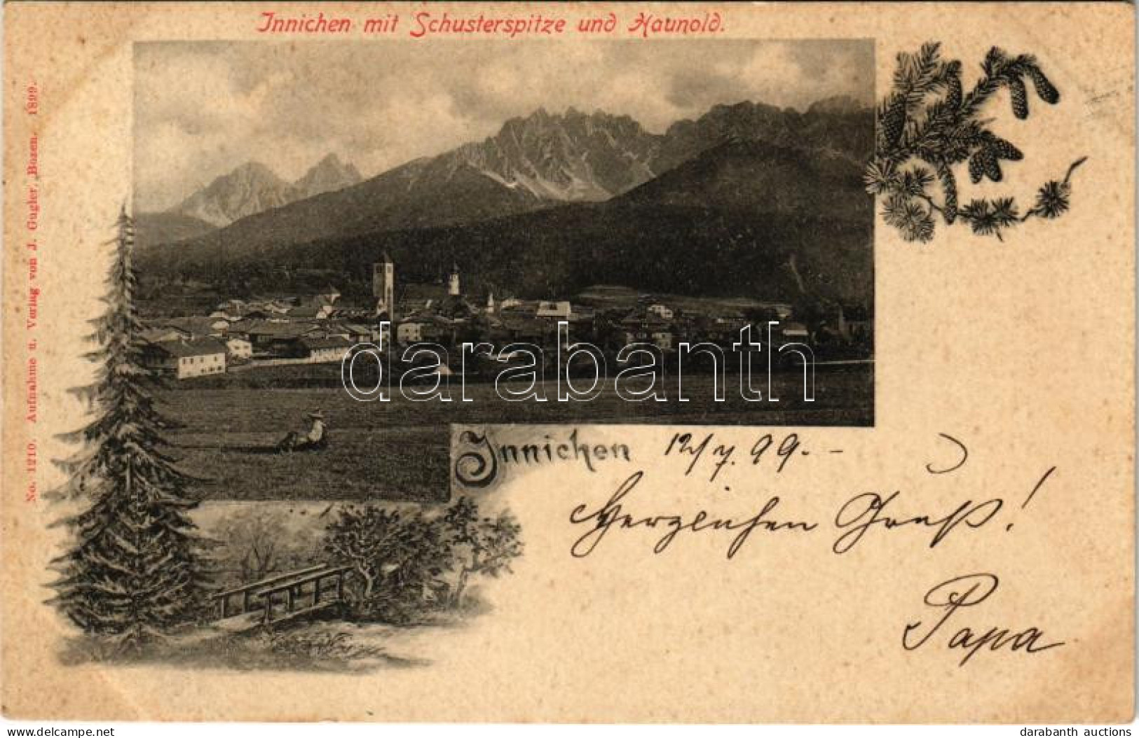 T2/T3 1899 (Vorläufer) San Candido, Innichen (Südtirol); Mit Schusterspitze Und Haunold. Floral (fl) - Ohne Zuordnung