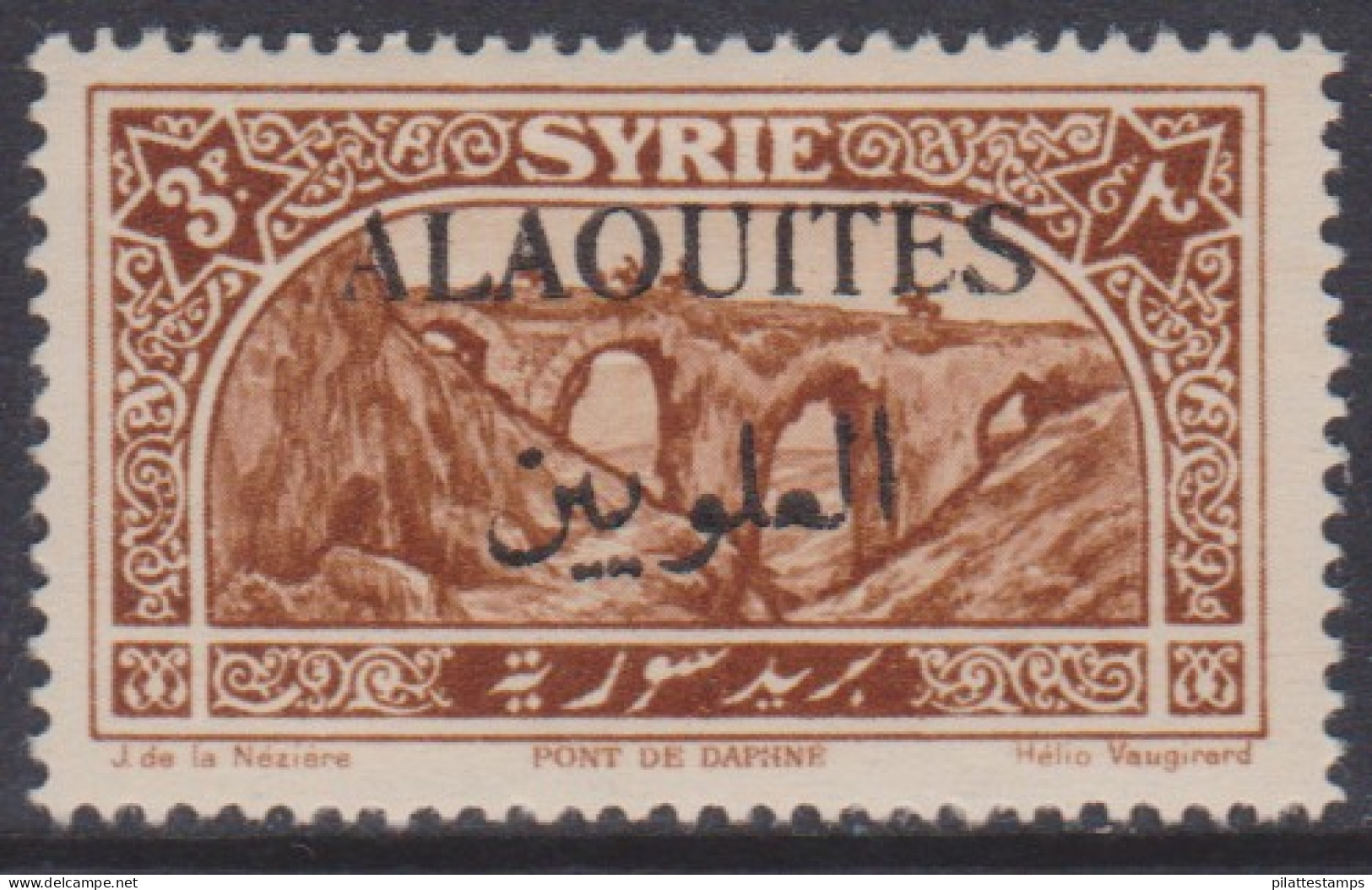 Alaouites 31** - Other & Unclassified
