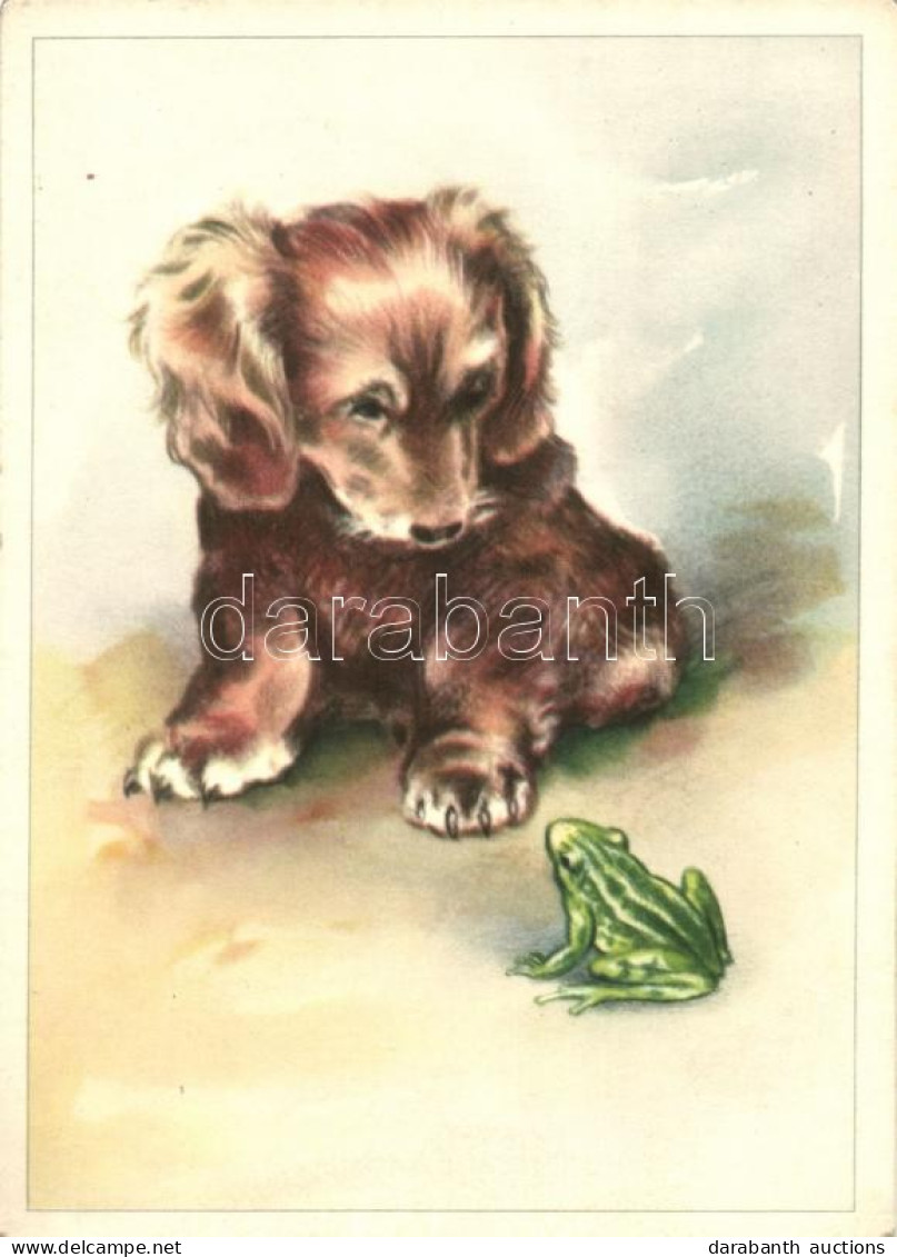 ** T2 Puppy And Frog - Unclassified