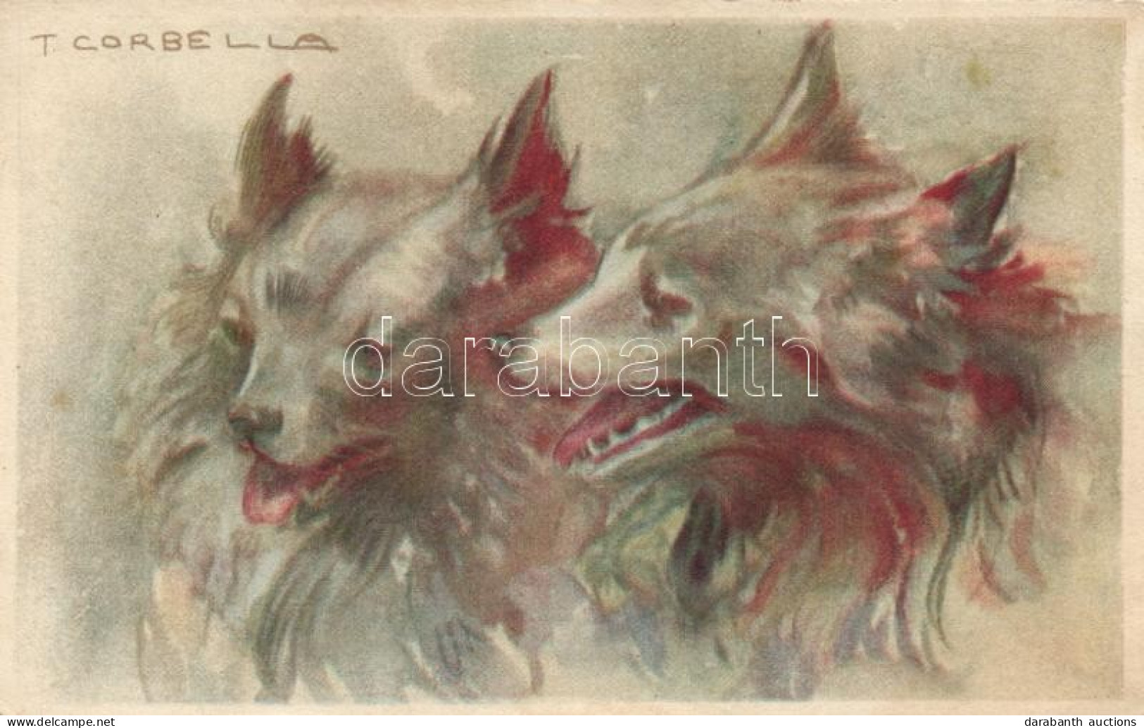 ** T2 Italian Art Postcard, Dogs, Degami 577. S: T. Corbella - Ohne Zuordnung