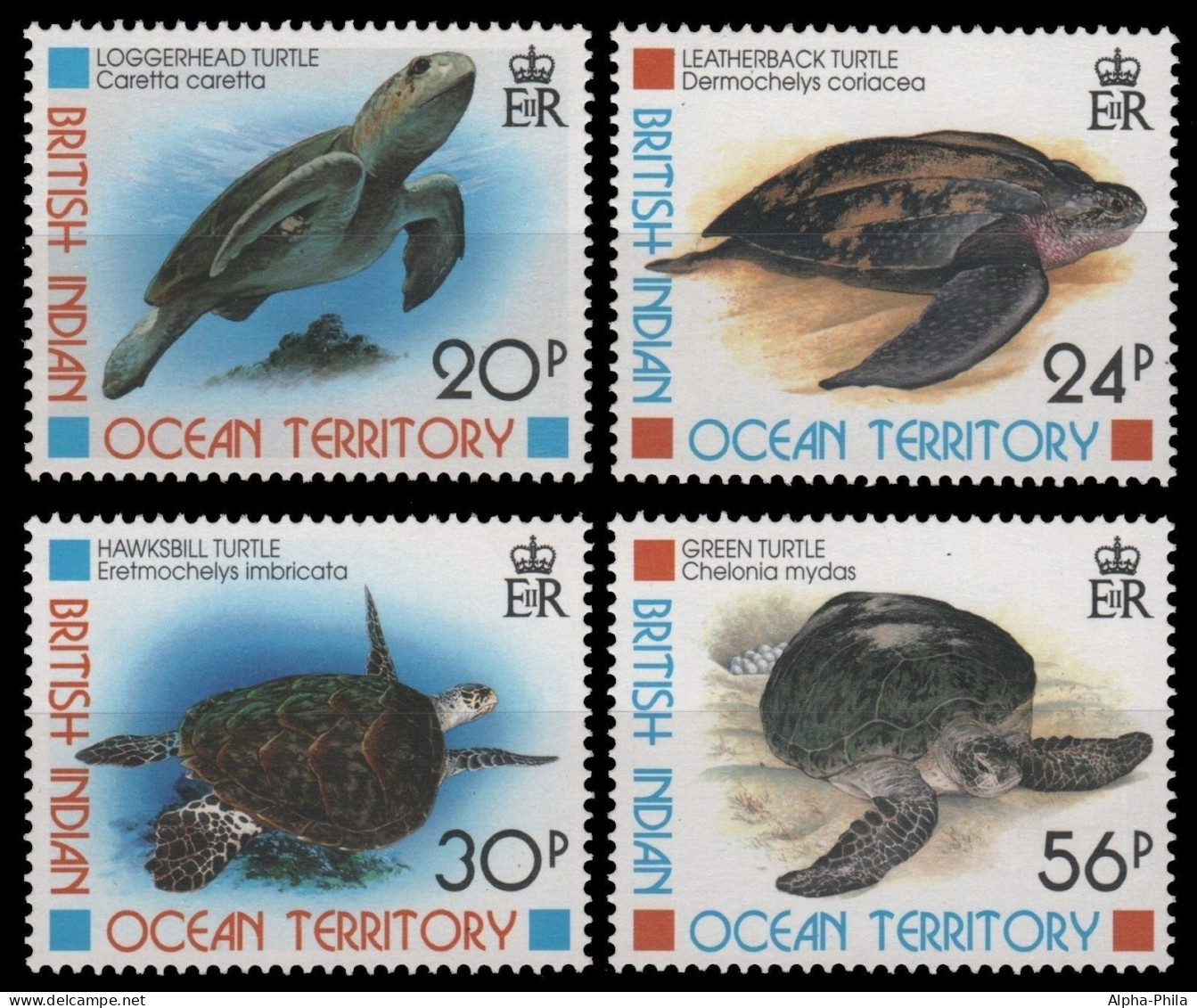 BIOT 1996 - Mi-Nr. 188-191 ** - MNH - Schildkröten / Turtles - British Indian Ocean Territory (BIOT)