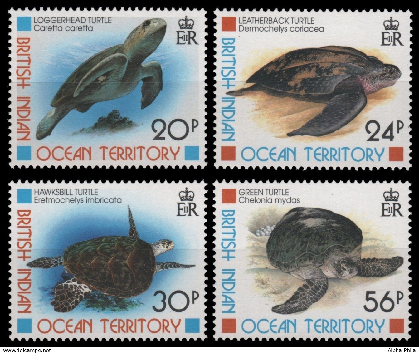 BIOT 1996 - Mi-Nr. 188-191 ** - MNH - Schildkröten / Turtles - Britisches Territorium Im Indischen Ozean
