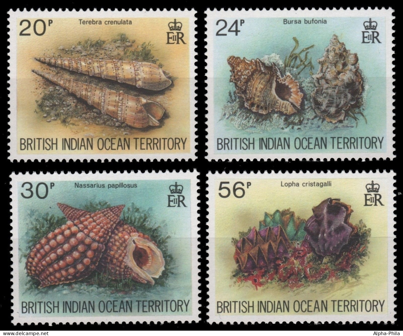 BIOT 1996 - Mi-Nr. 179-182 ** - MNH - Meeresschnecken / Marine Snails - Territorio Britannico Dell'Oceano Indiano
