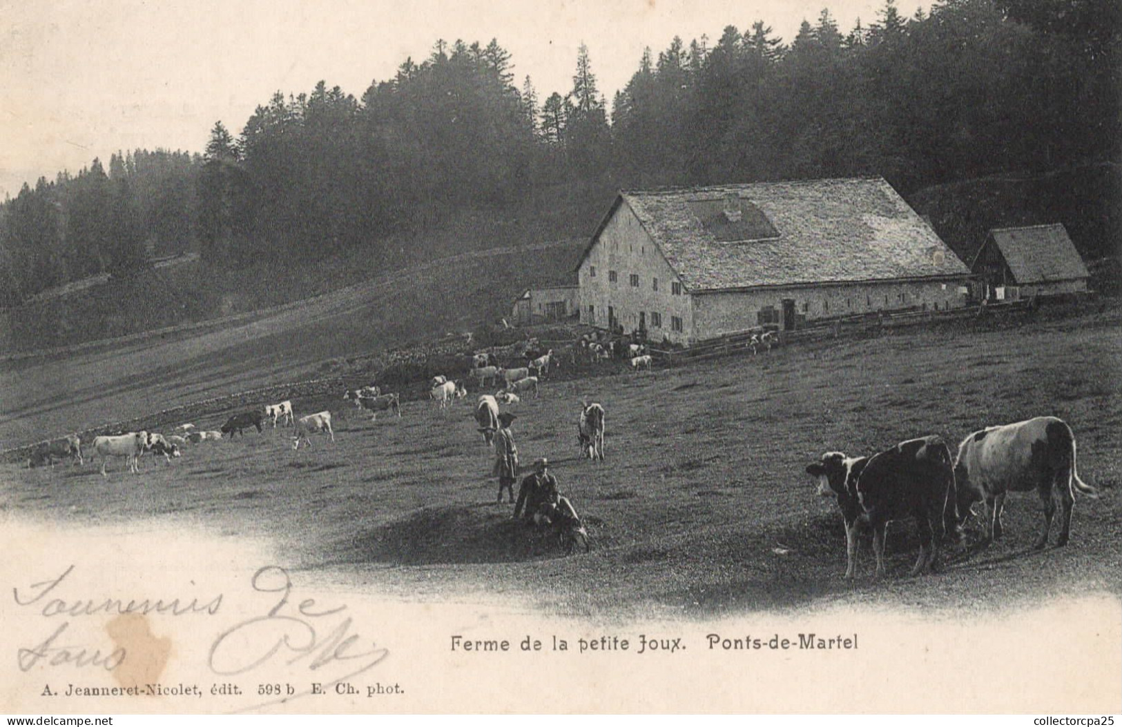 Ferme De La Petite Joux - Ponts De Martel ( Troupeau De Vache Ferme ) - RARE ! - Ponts-de-Martel