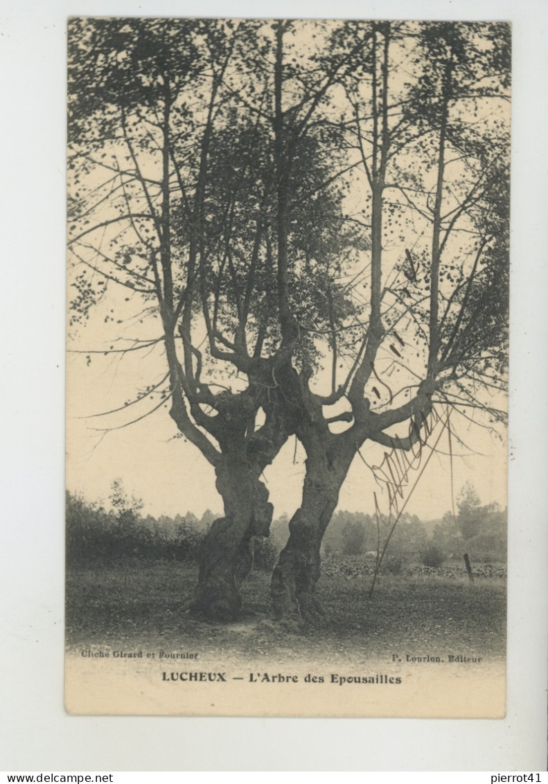 LUCHEUX - L'Arbre Des Epousailles - Lucheux