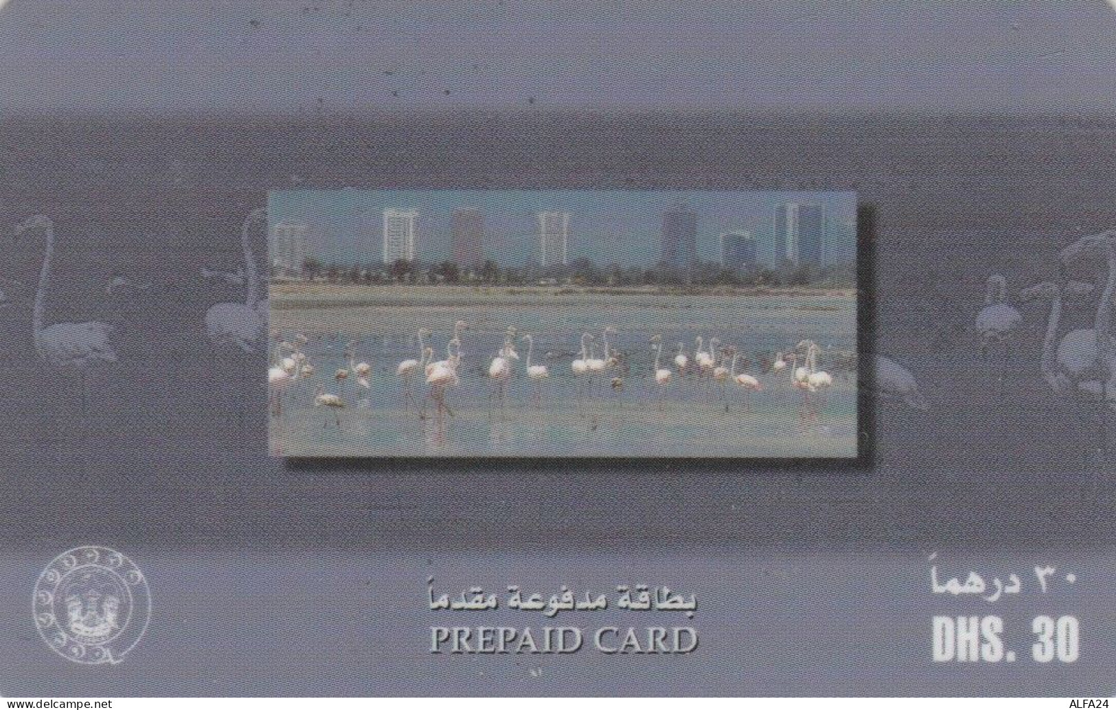 PREPAID PHONE CARD EMIRATI ARABI (CK2502 - Emirats Arabes Unis