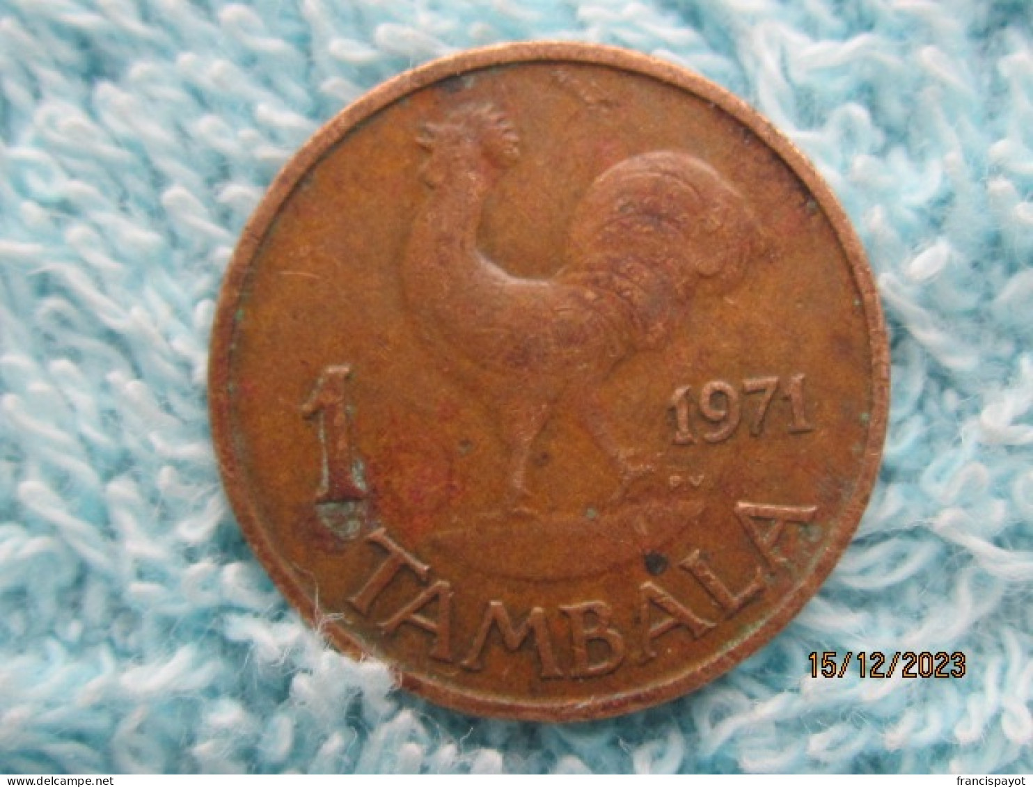 Malawi: 1 Tambala 1971 - Malawi