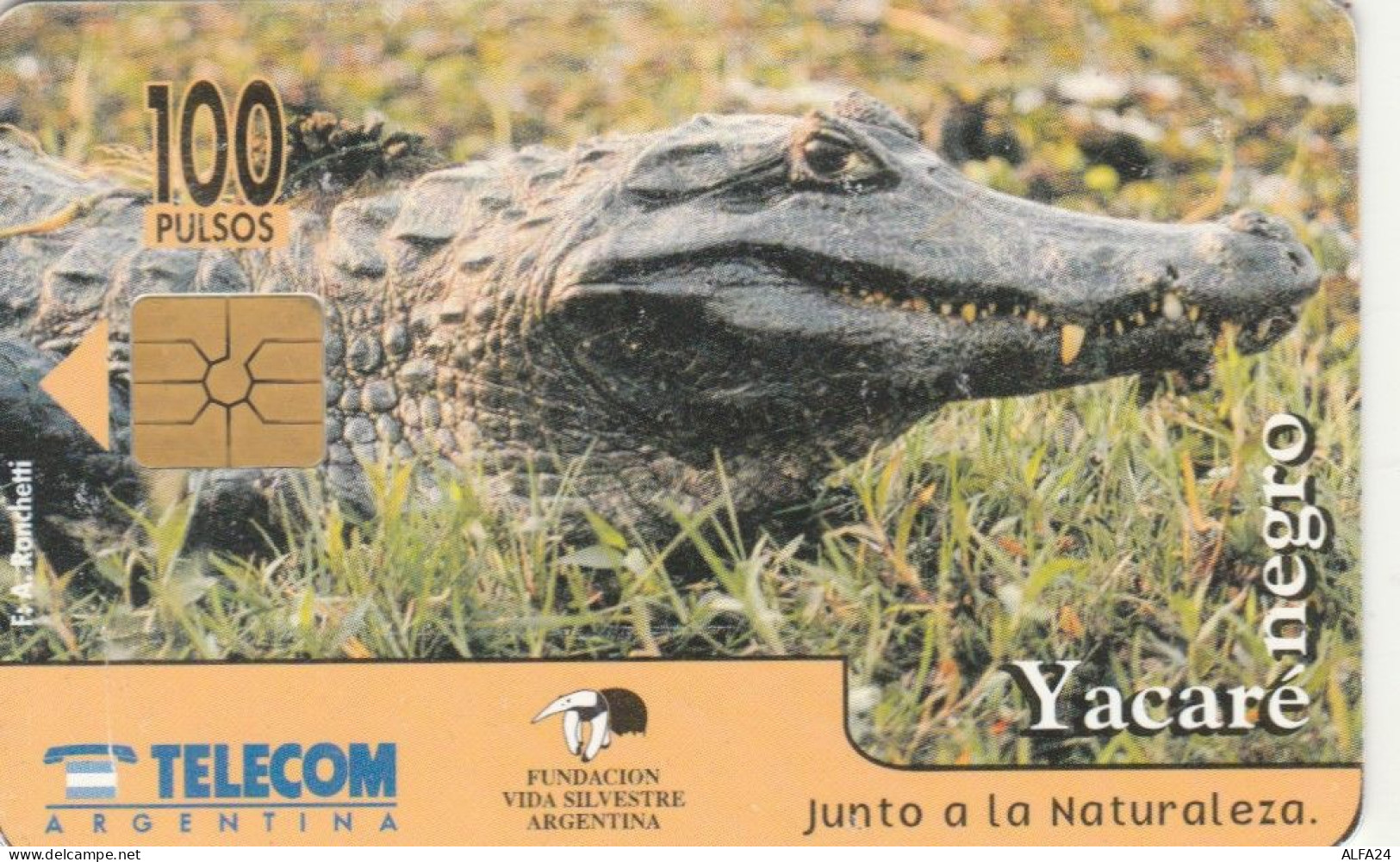 PHONE CARD ARGENTINA (CK5924 - Argentinien