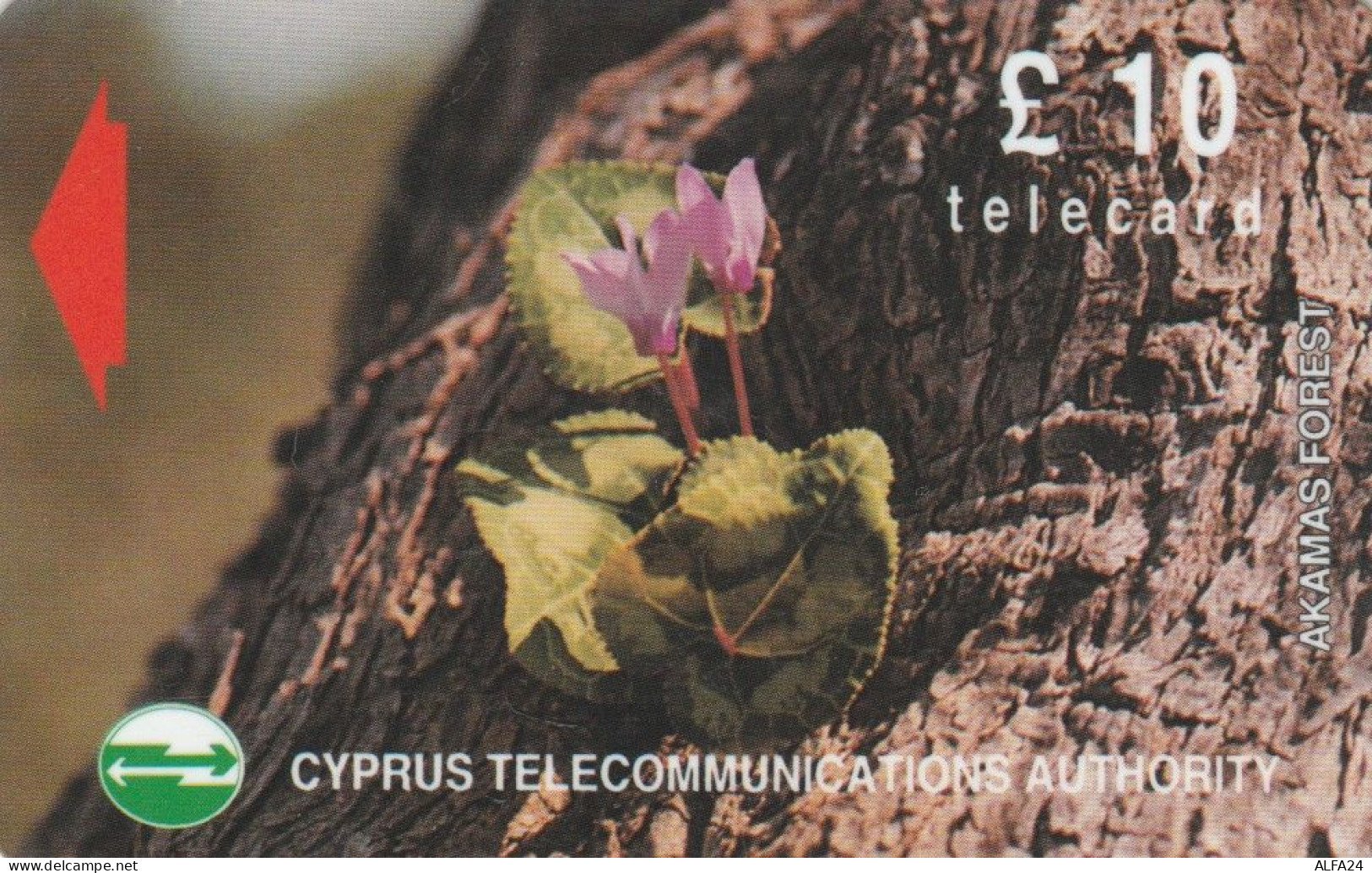 PHONE CARD CIPRO (CK5812 - Cyprus