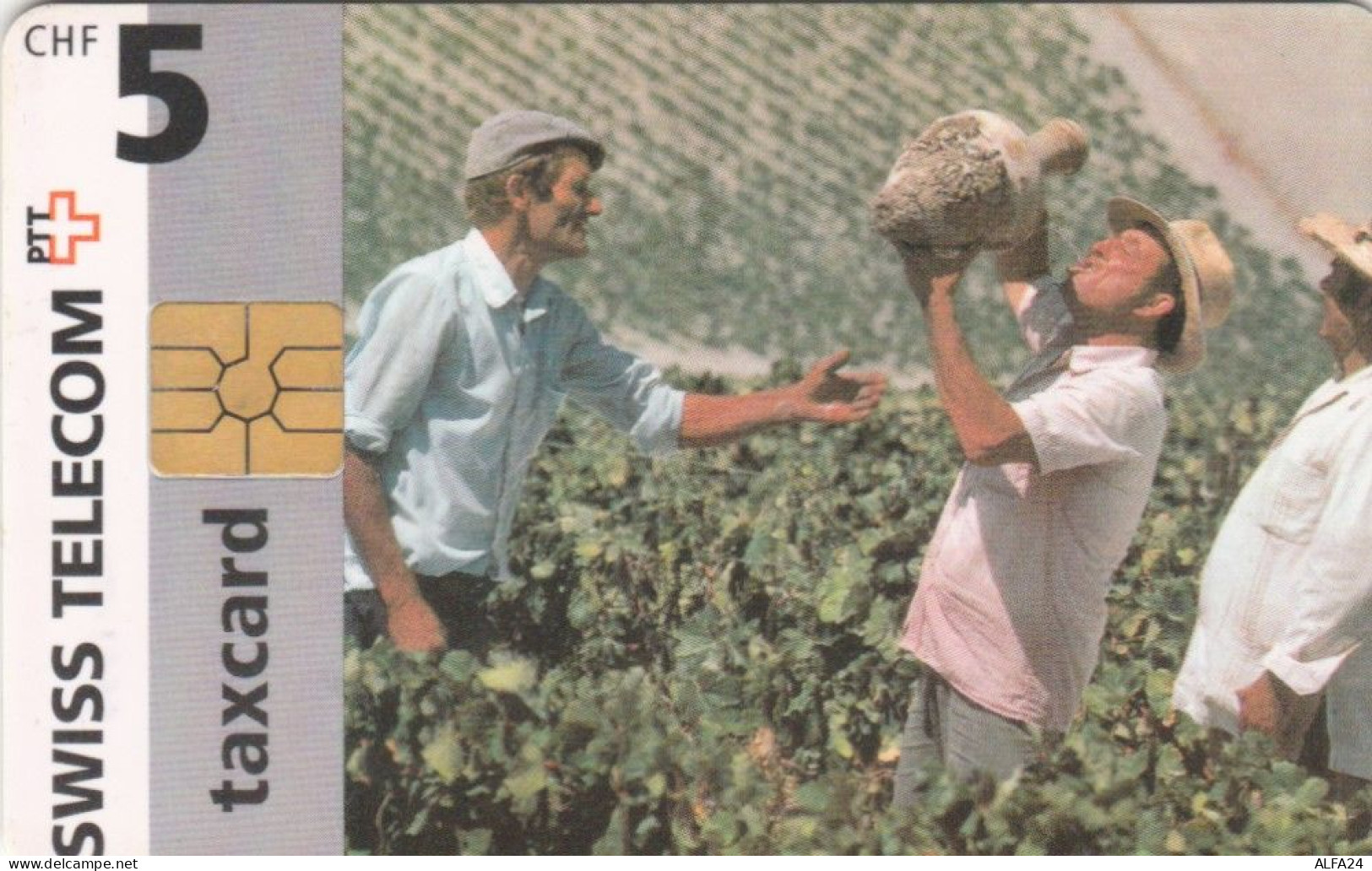 PHONE CARD SVIZZERA (CK5584 - Suisse