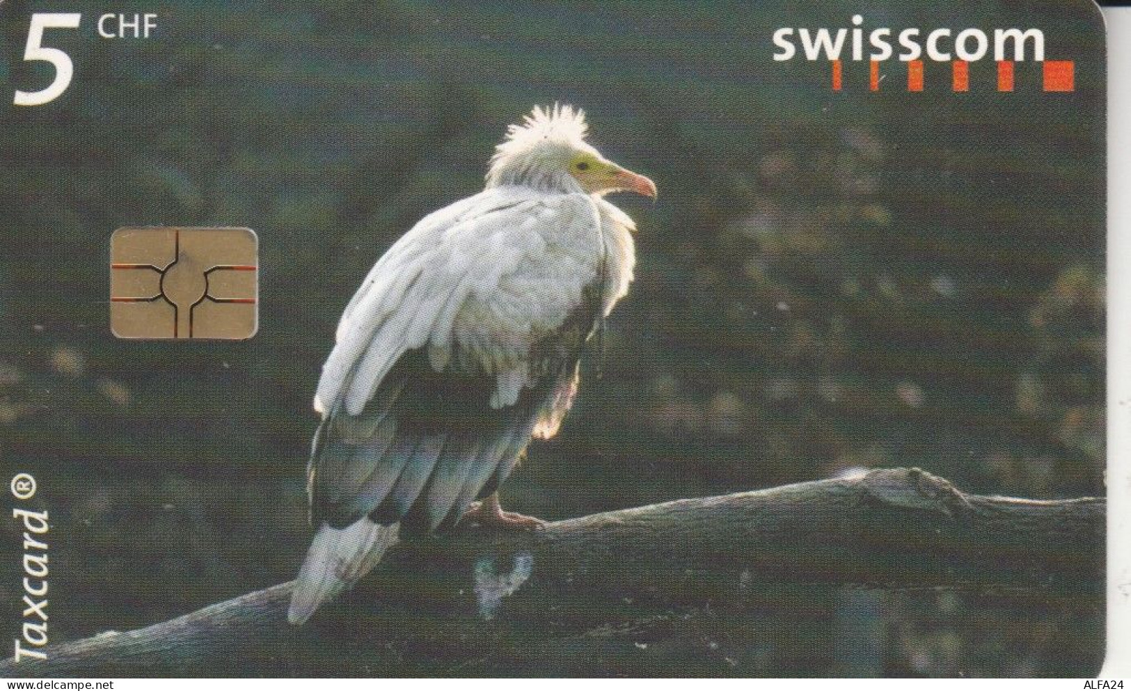 PHONE CARD SVIZZERA (CK5577 - Suisse