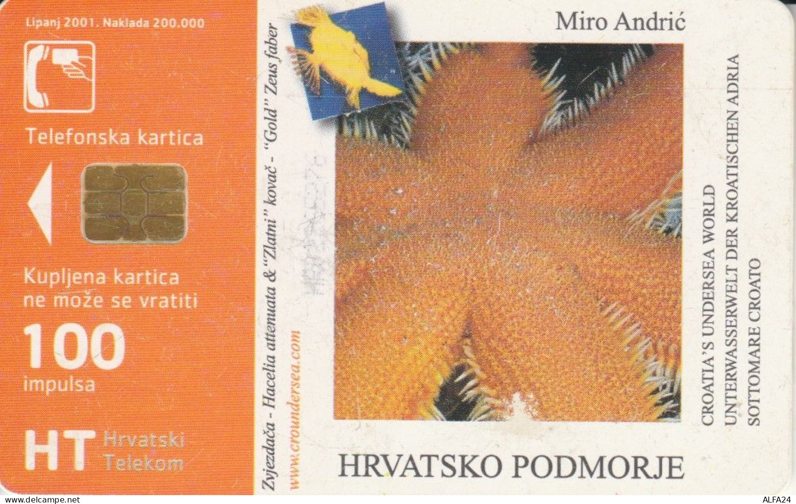 PHONE CARD CROAZIA (CK6505 - Croatie