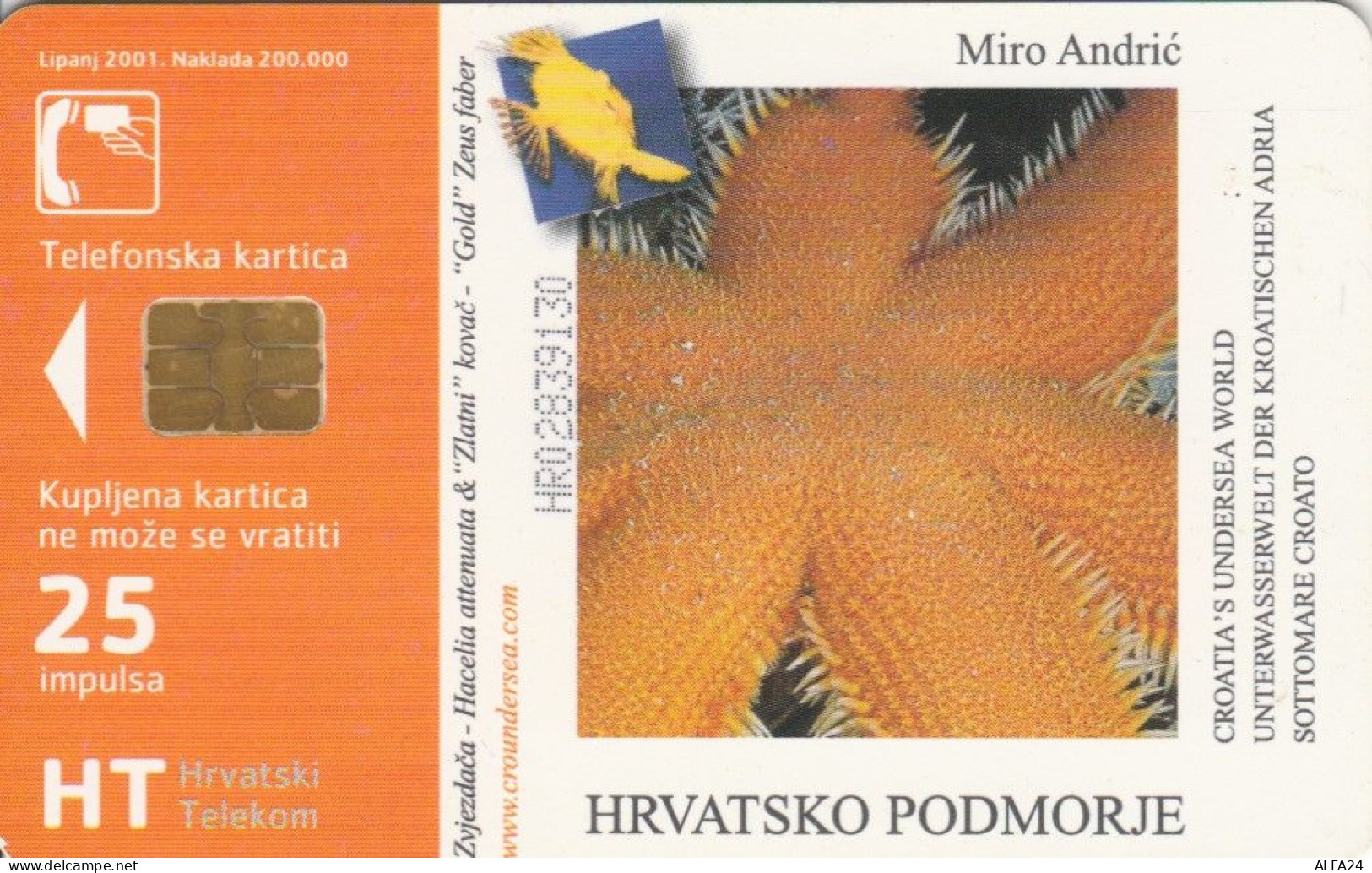 PHONE CARD CROAZIA (CK6503 - Croatie