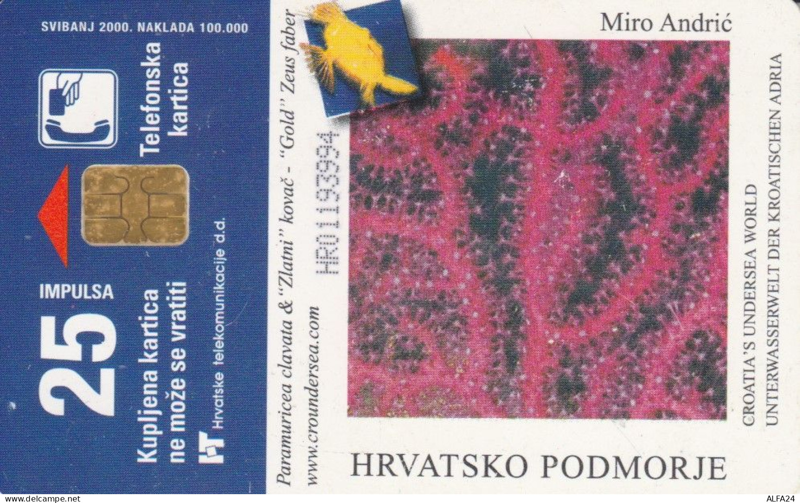 PHONE CARD CROAZIA (CK6489 - Croatie