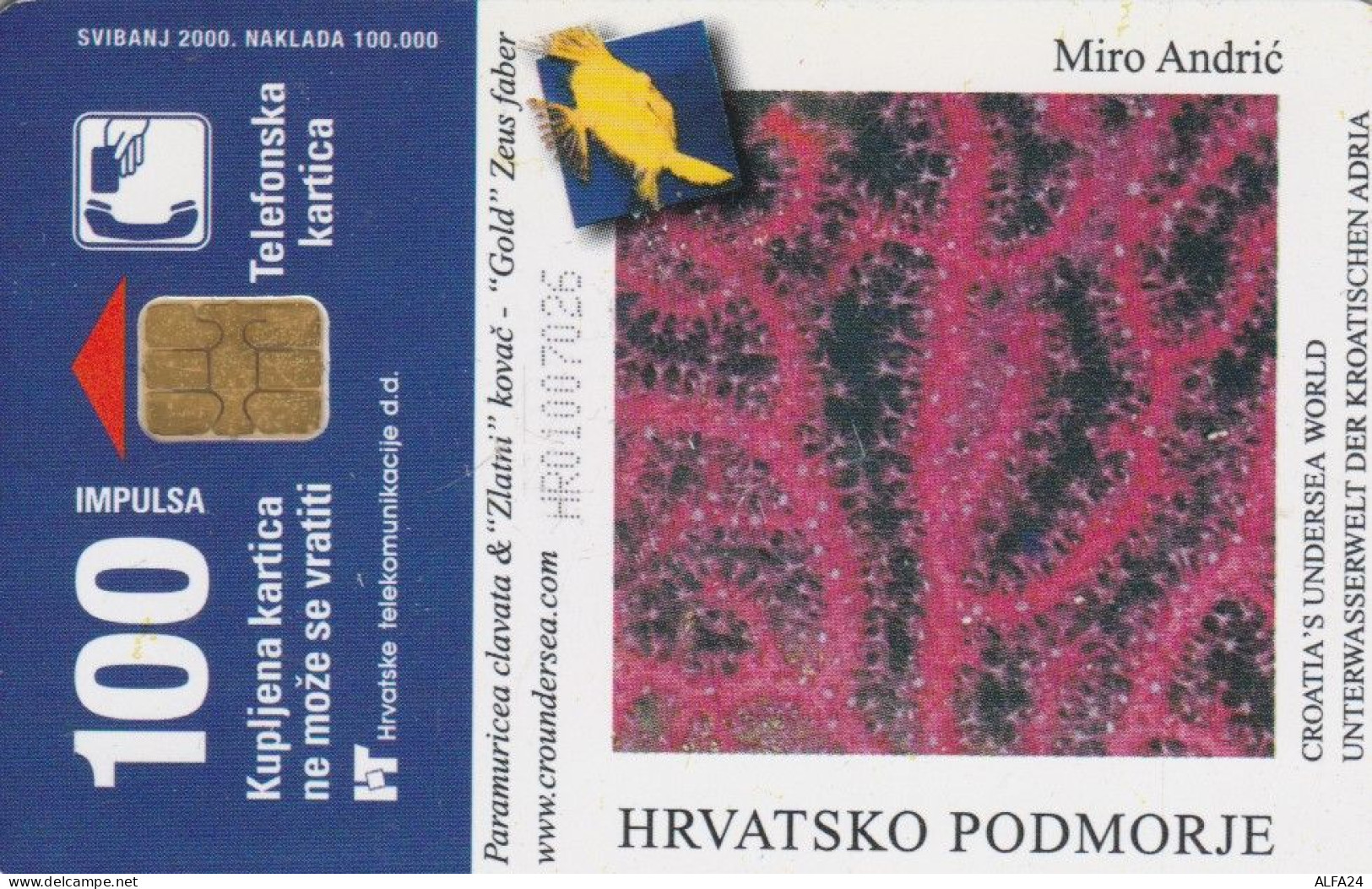 PHONE CARD CROAZIA (CK6387 - Croatie