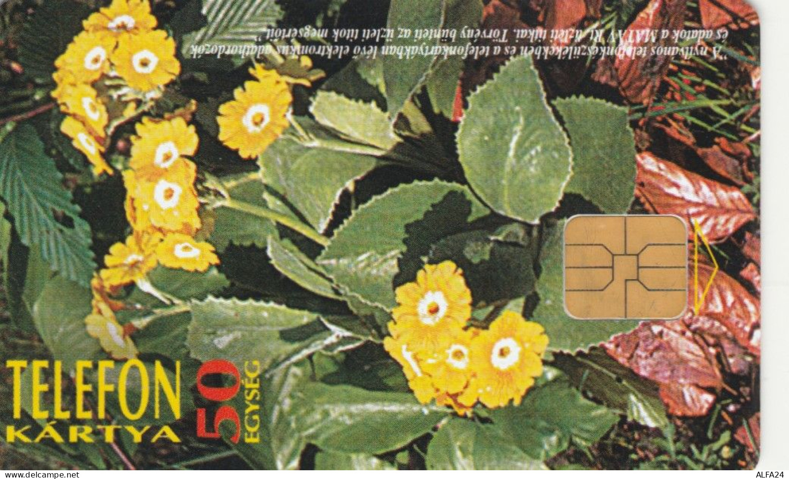 PHONE CARD UNGHERIA (CK6237 - Hongrie