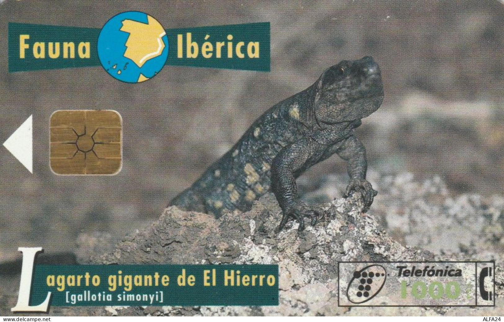 PHONE CARD SPAGNA FAUNA IBERICA (CK7135 - Basisausgaben