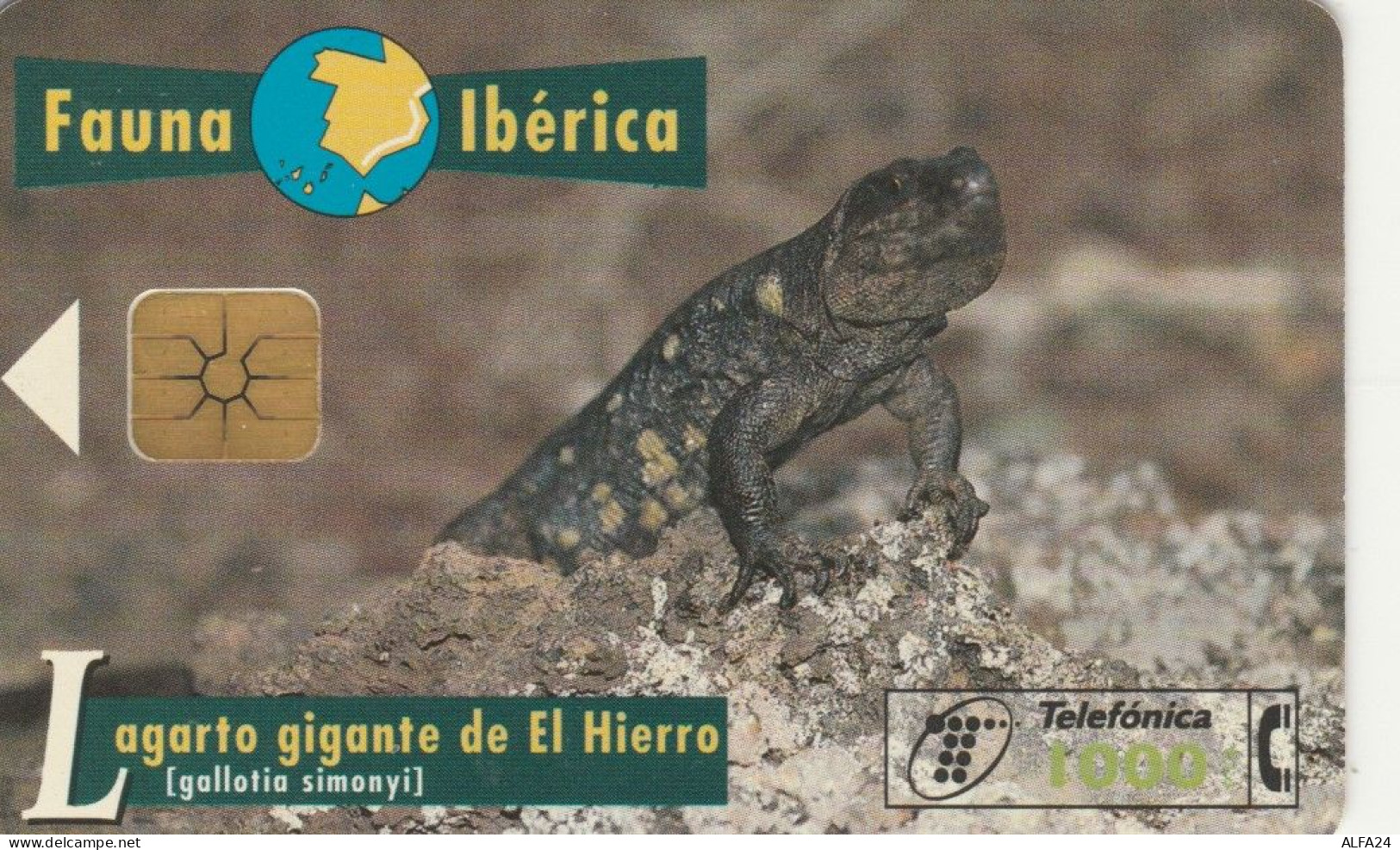 PHONE CARD SPAGNA FAUNA IBERICA (CK7133 - Basisausgaben