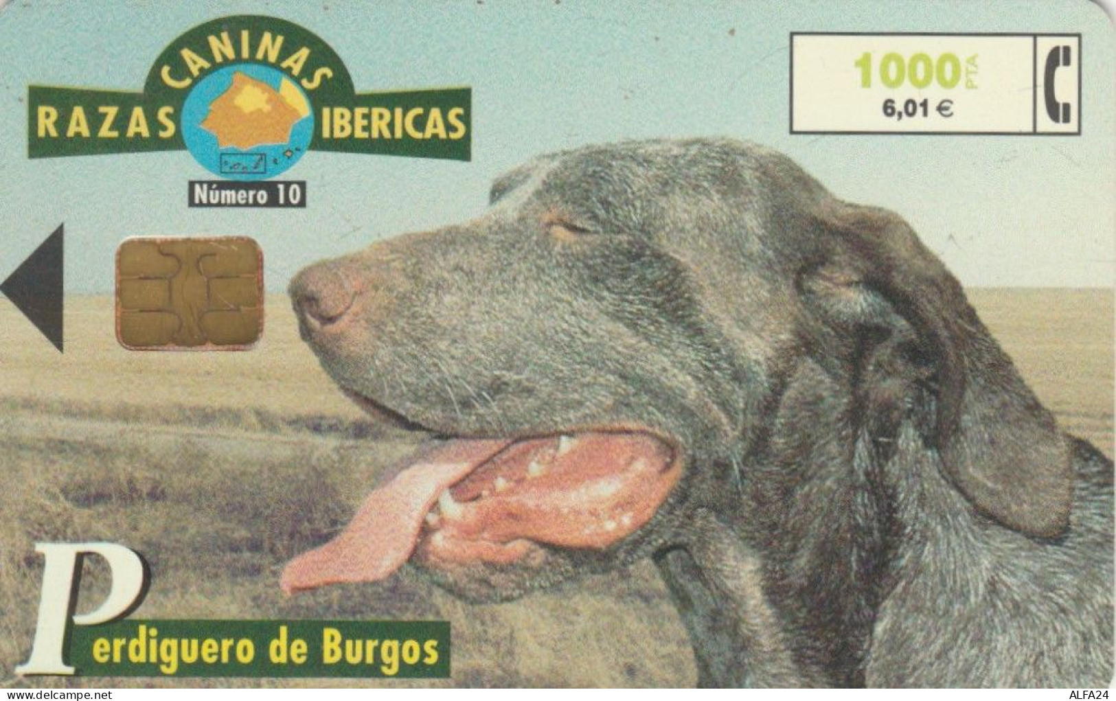 PHONE CARD SPAGNA FAUNA IBERICA (CK7134 - Basisausgaben