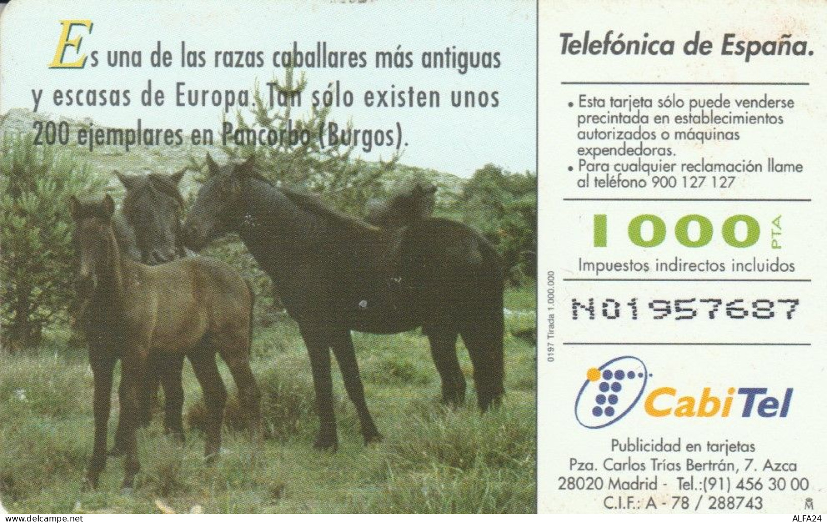 PHONE CARD SPAGNA FAUNA IBERICA (CK7130 - Emisiones Básicas