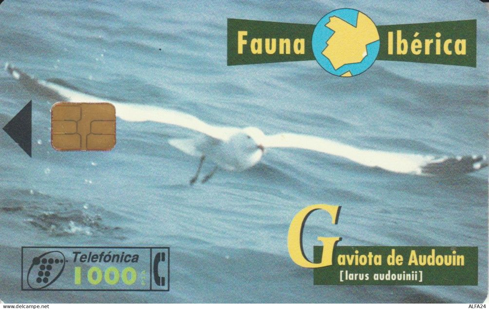 PHONE CARD SPAGNA FAUNA IBERICA (CK7121 - Basisausgaben