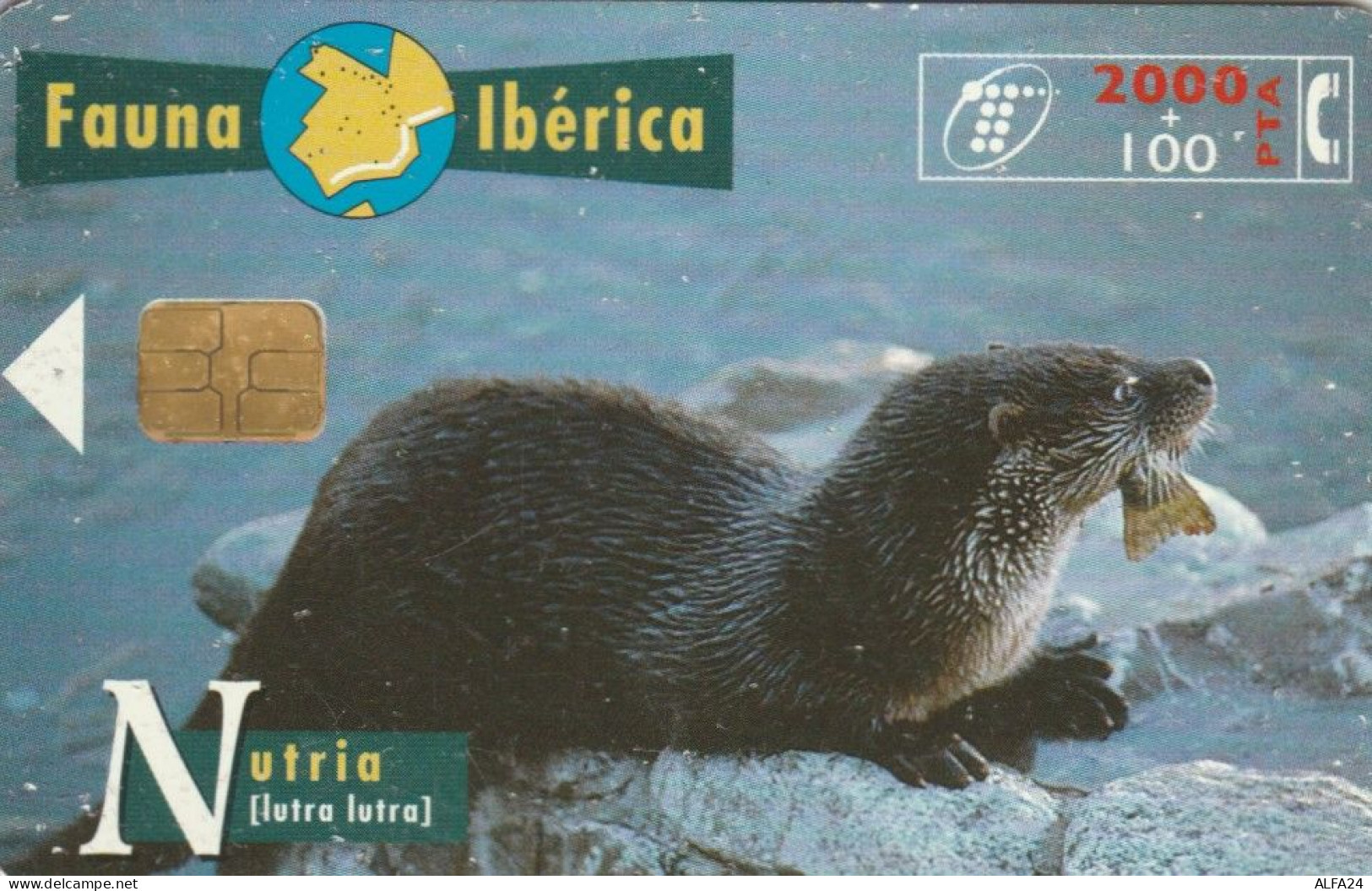 PHONE CARD SPAGNA FAUNA IBERICA (CK7131 - Basisausgaben