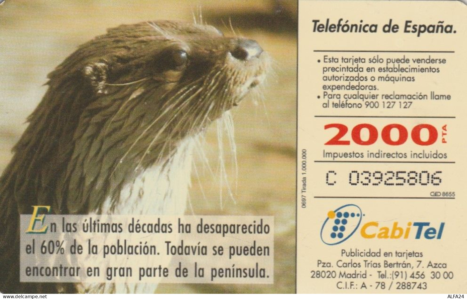 PHONE CARD SPAGNA FAUNA IBERICA (CK7131 - Basisausgaben