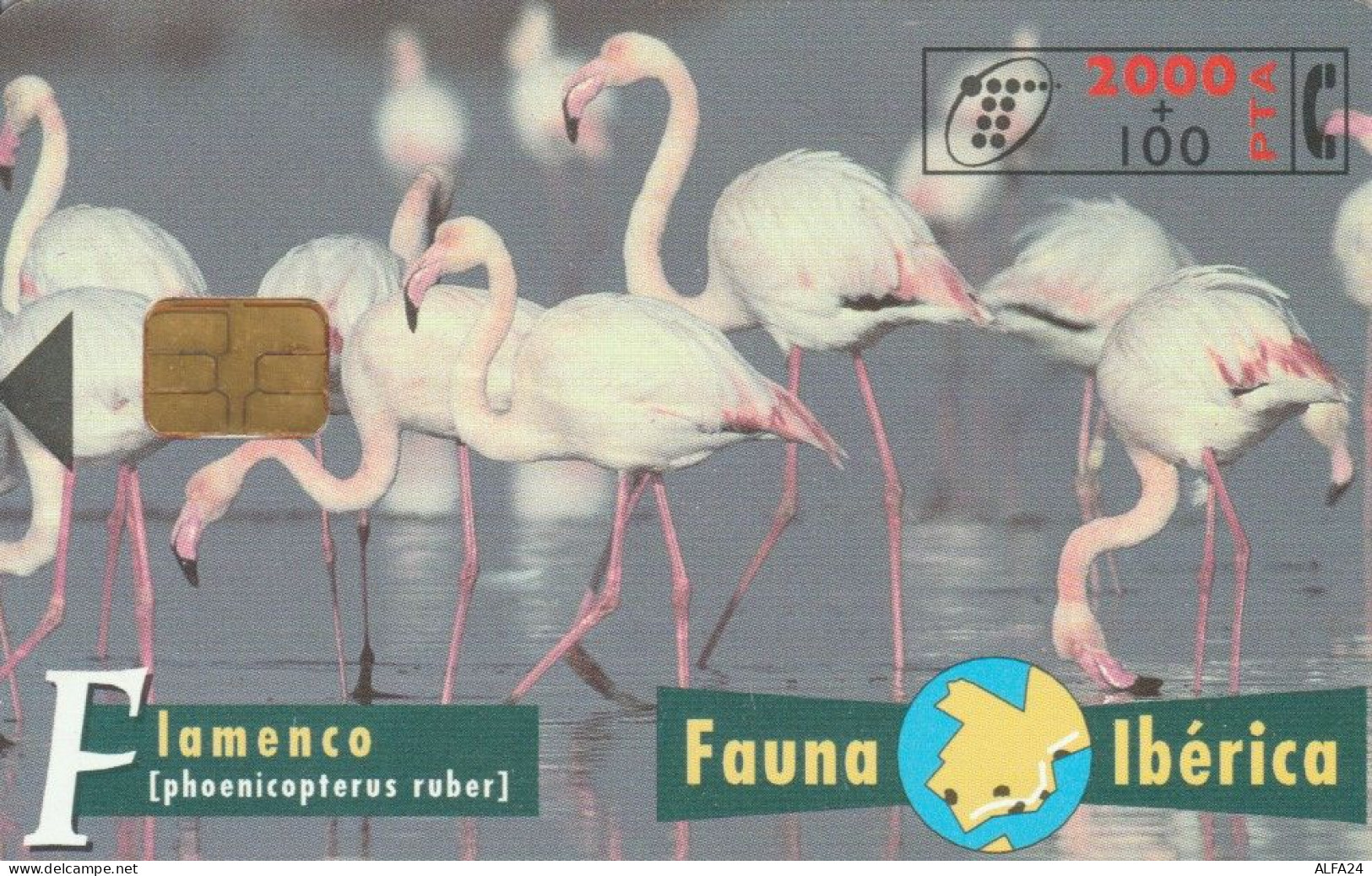 PHONE CARD SPAGNA FAUNA IBERICA (CK7119 - Emisiones Básicas