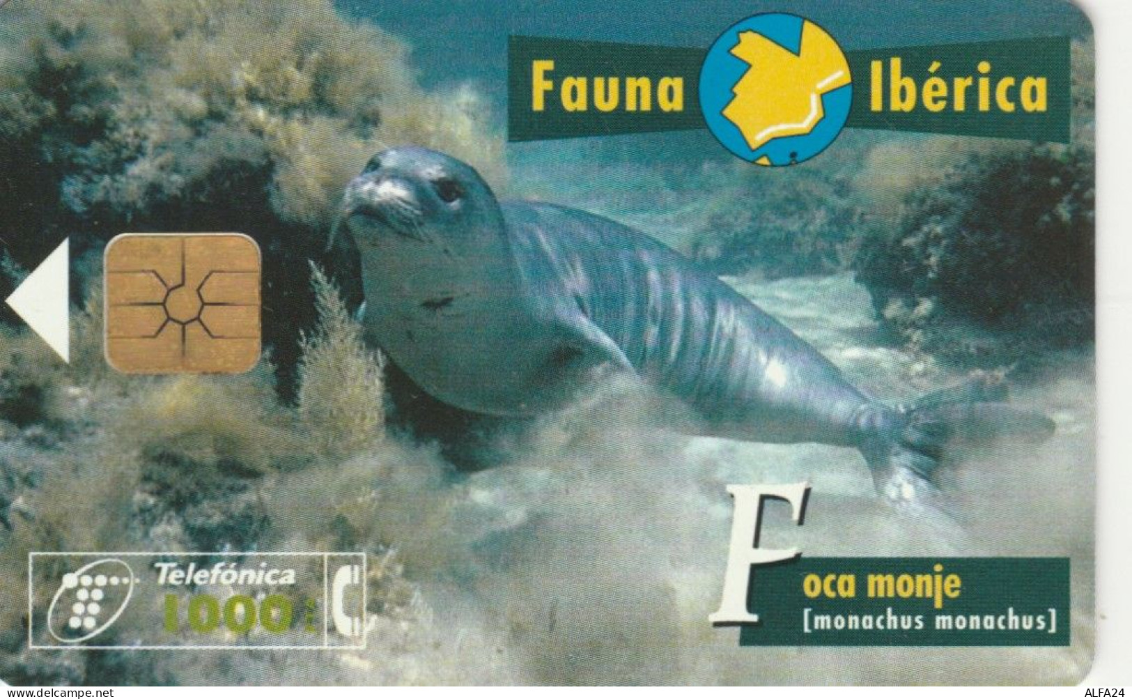 PHONE CARD SPAGNA FAUNA IBERICA (CK7117 - Basisausgaben