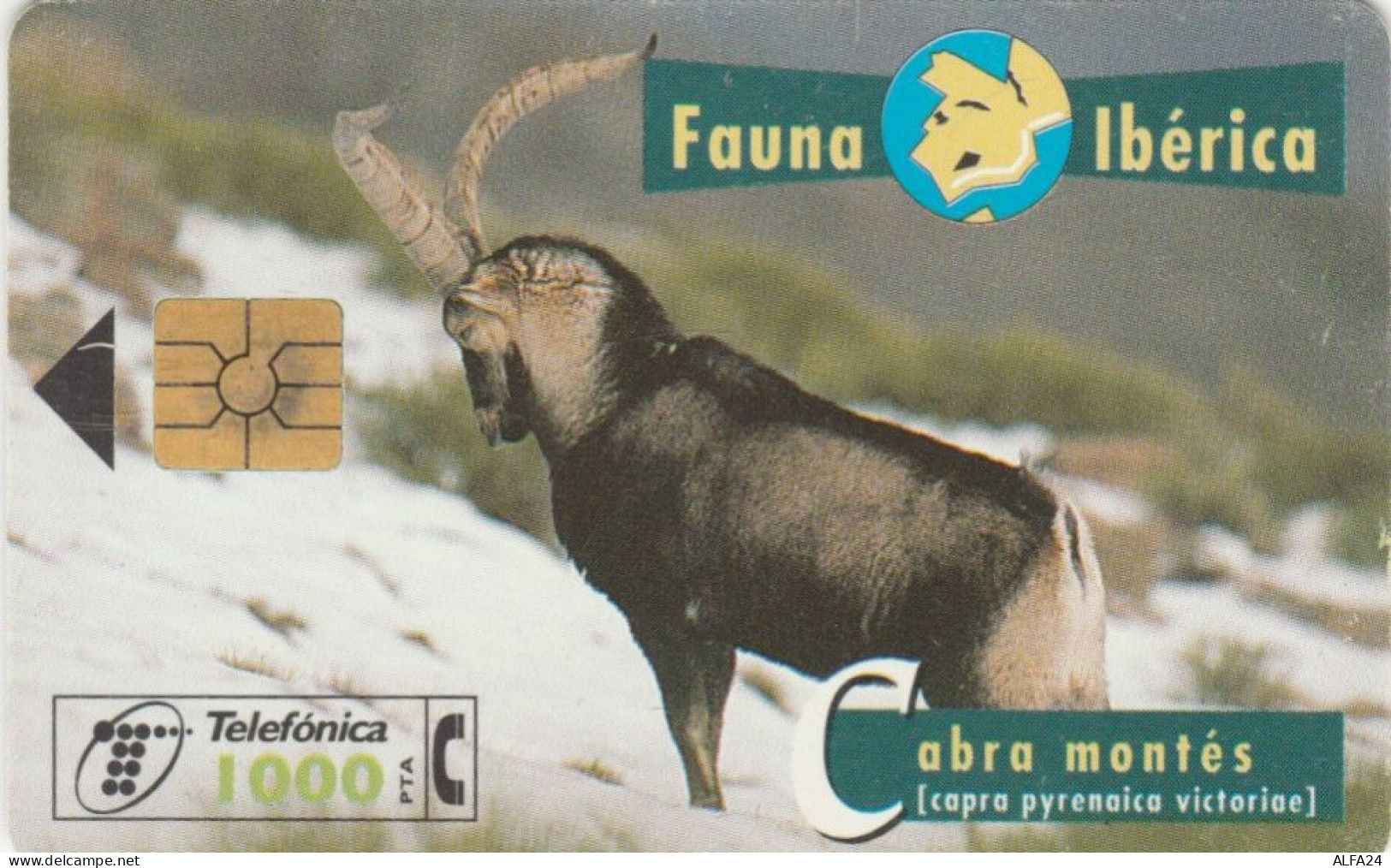 PHONE CARD SPAGNA FAUNA IBERICA (CK7118 - Emissions Basiques
