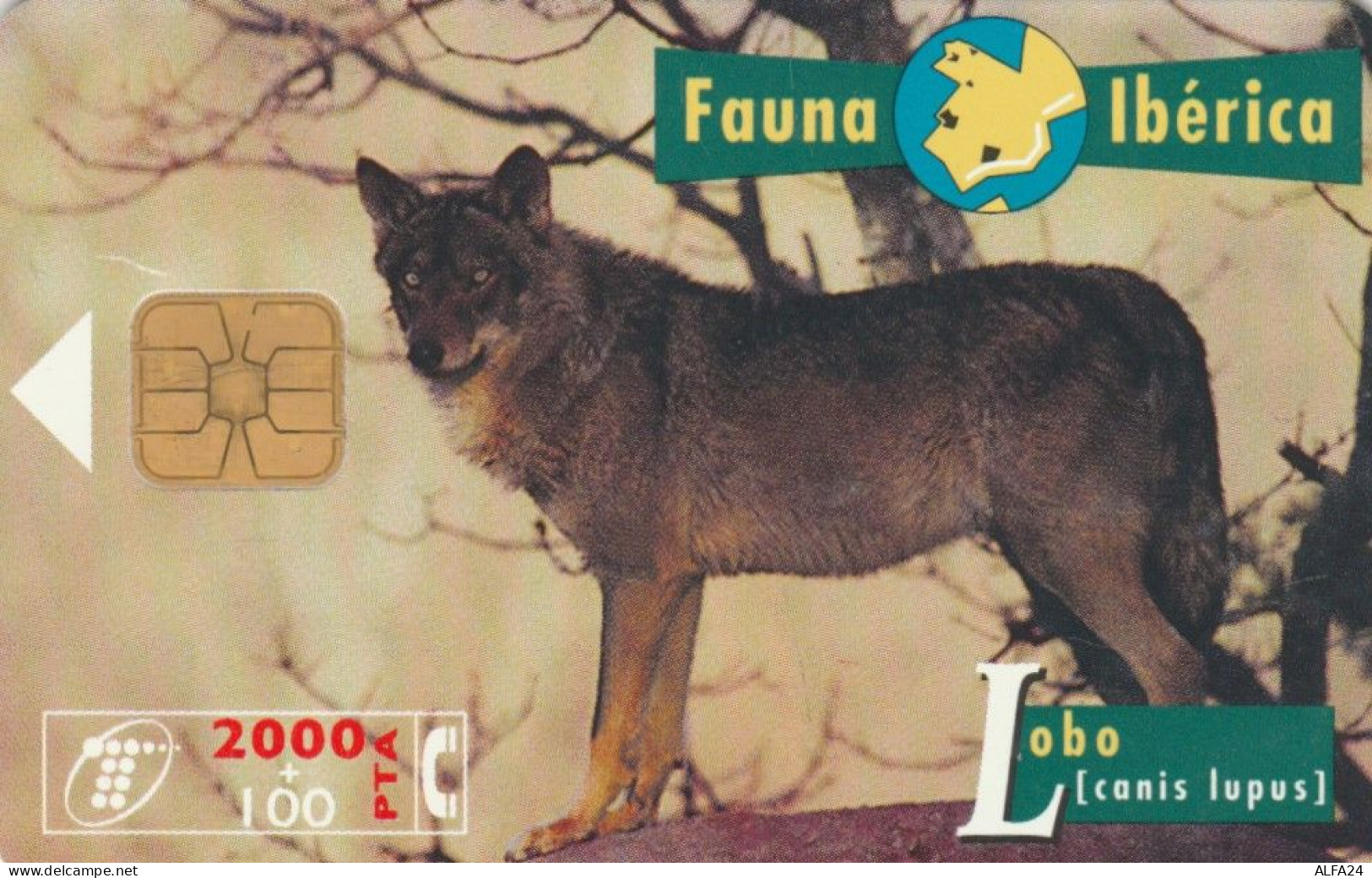 PHONE CARD SPAGNA FAUNA IBERICA (CK7116 - Basisausgaben