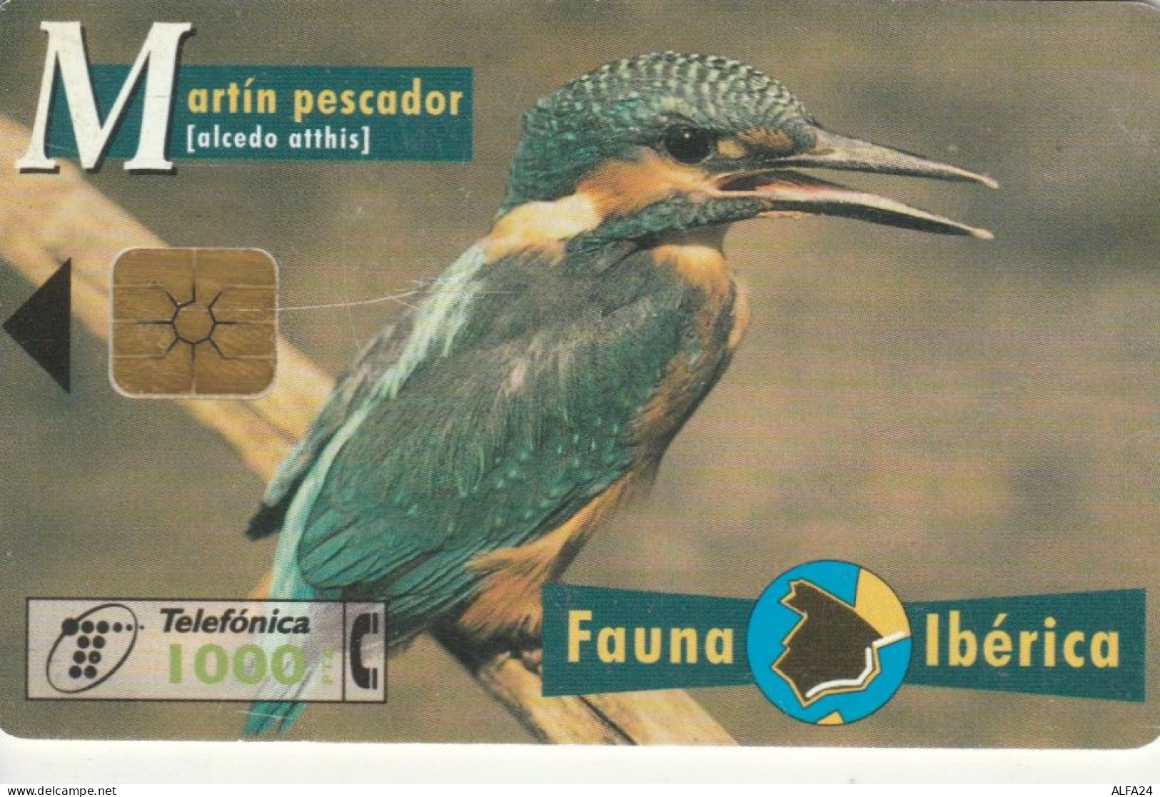 PHONE CARD SPAGNA FAUNA IBERICA (CK7115 - Emissions Basiques