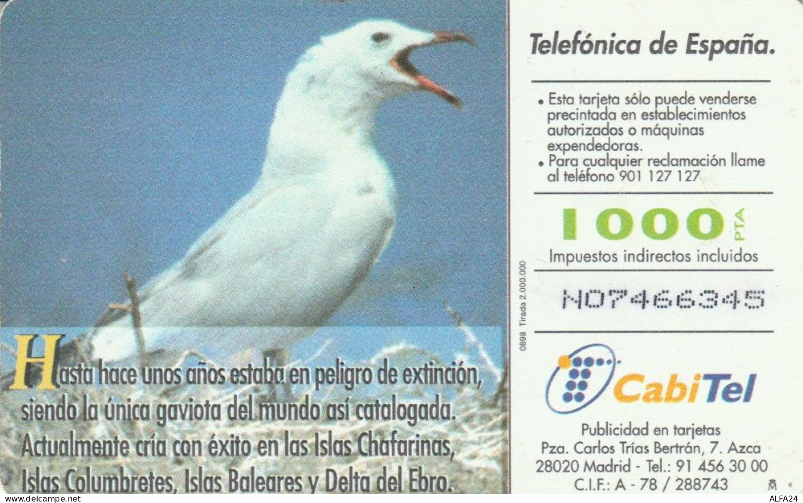 PHONE CARD SPAGNA FAUNA IBERICA (CK7114 - Basisausgaben