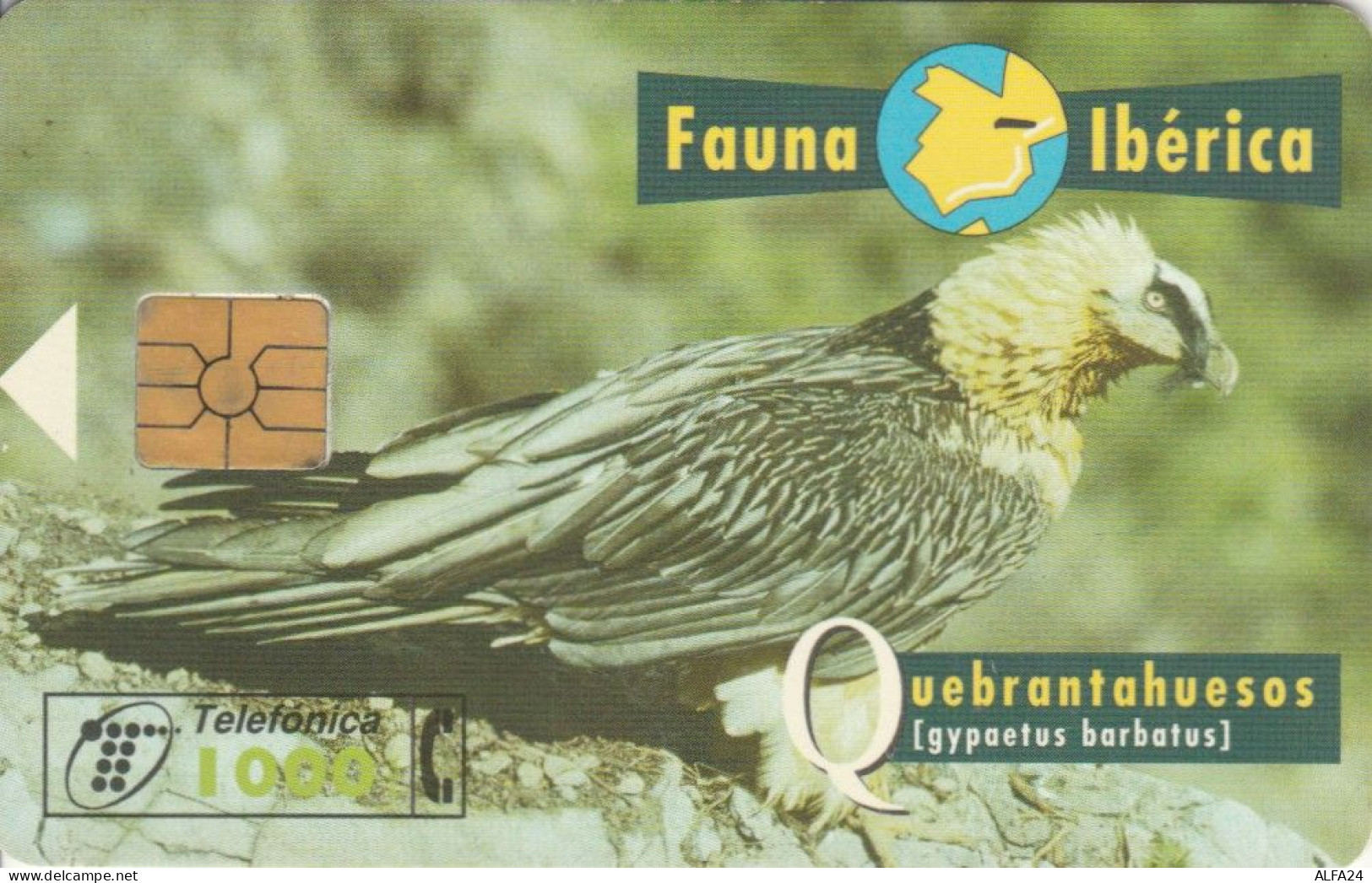 PHONE CARD SPAGNA FAUNA IBERICA (CK7099 - Basisausgaben